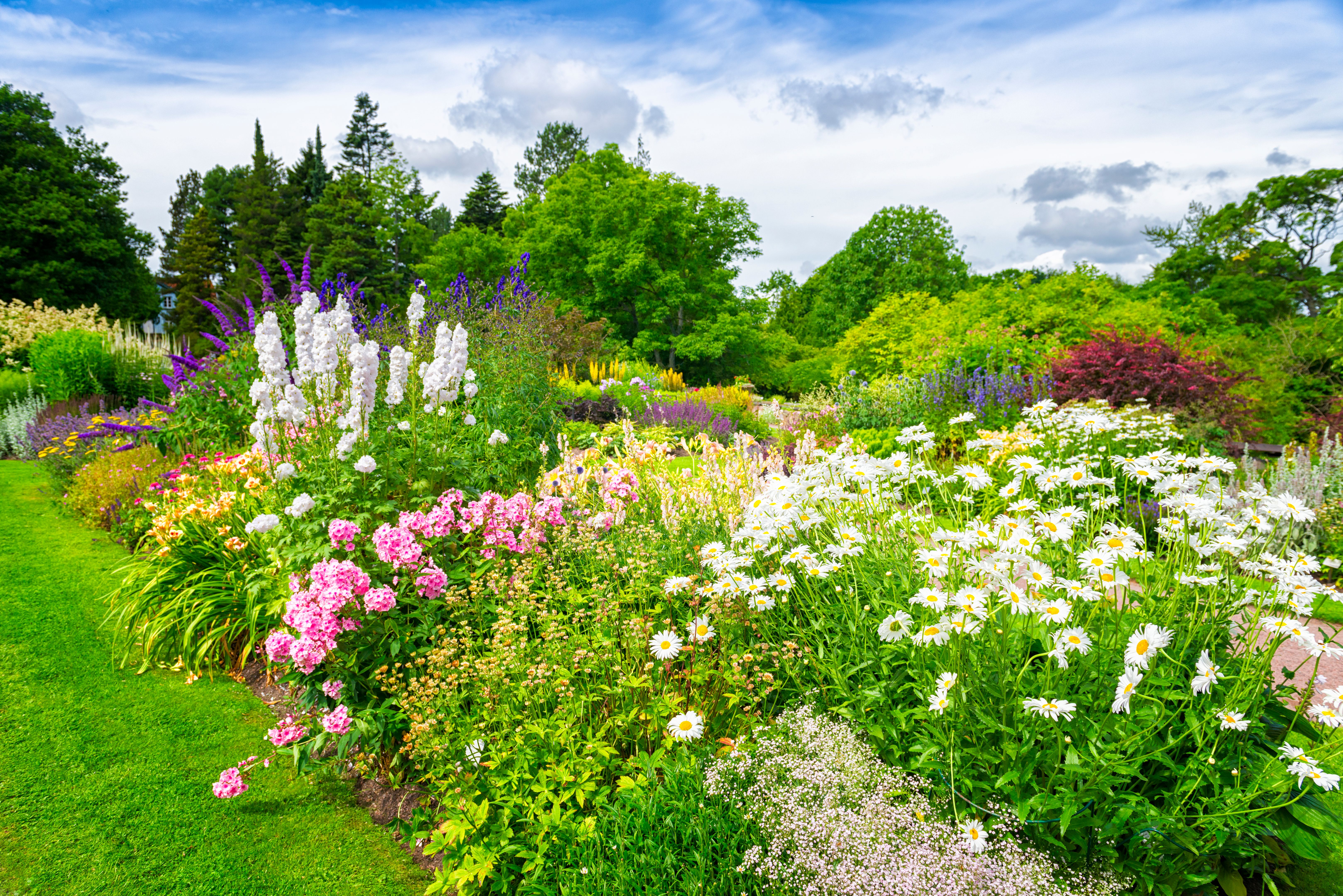 perennial garden care