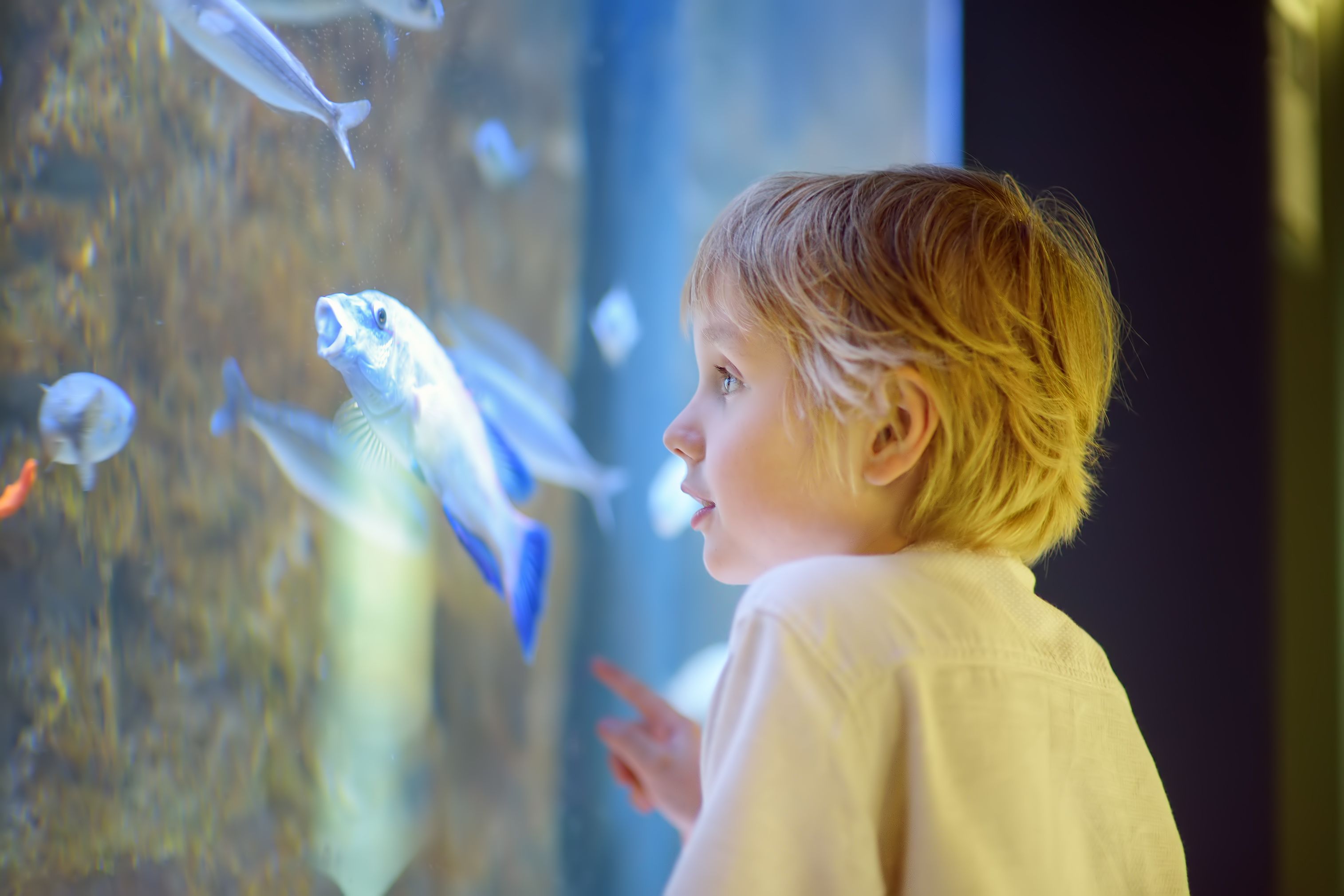 students with fish