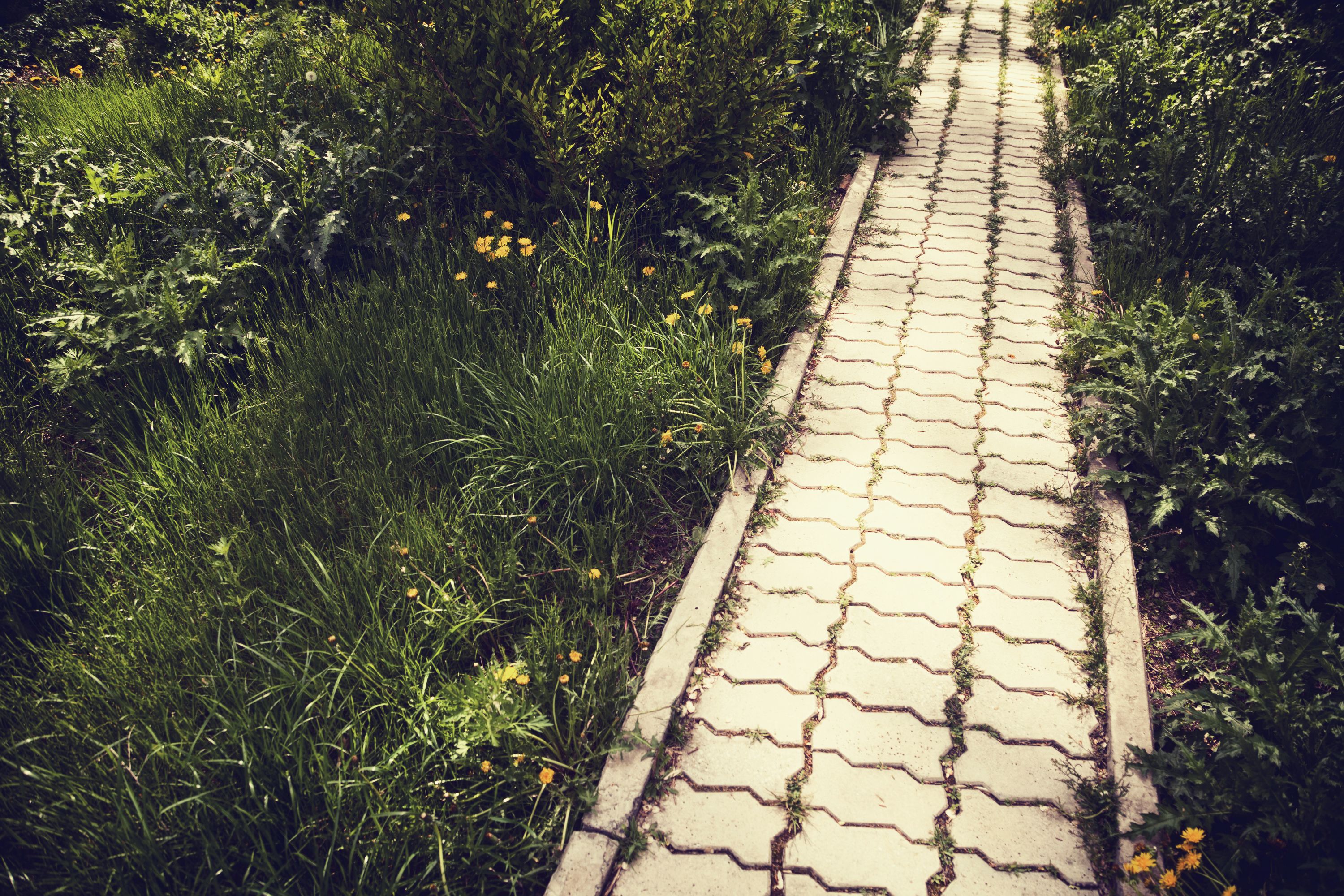 disney park planning