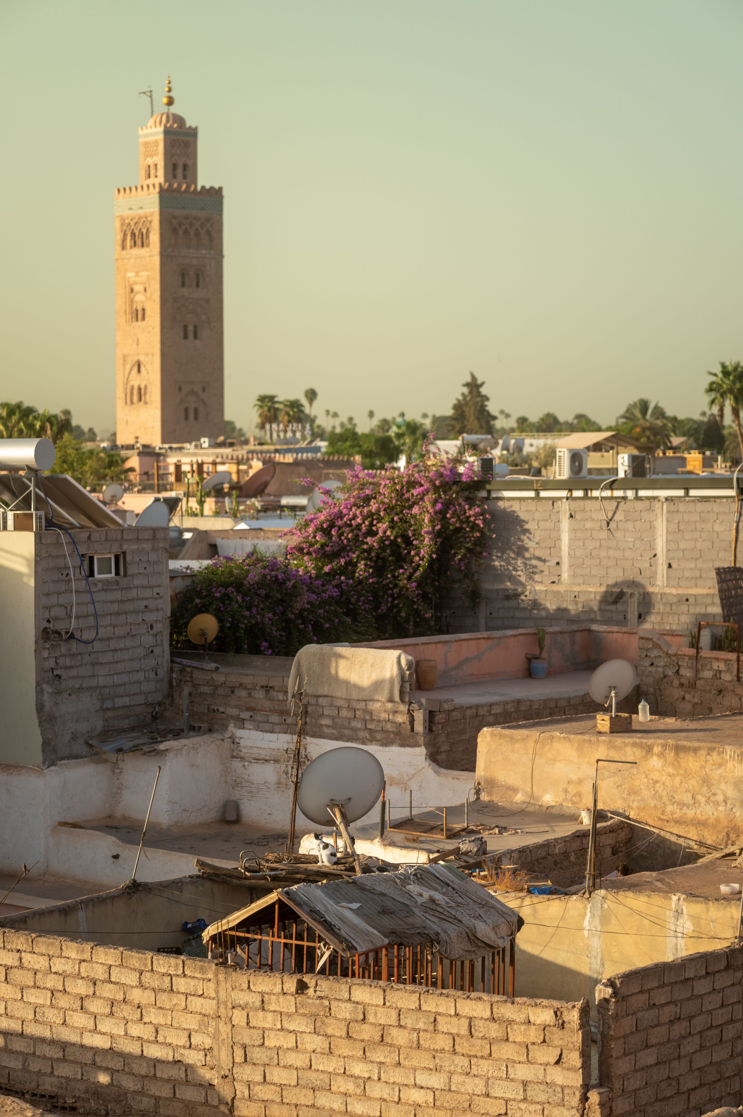 marrakesh summer