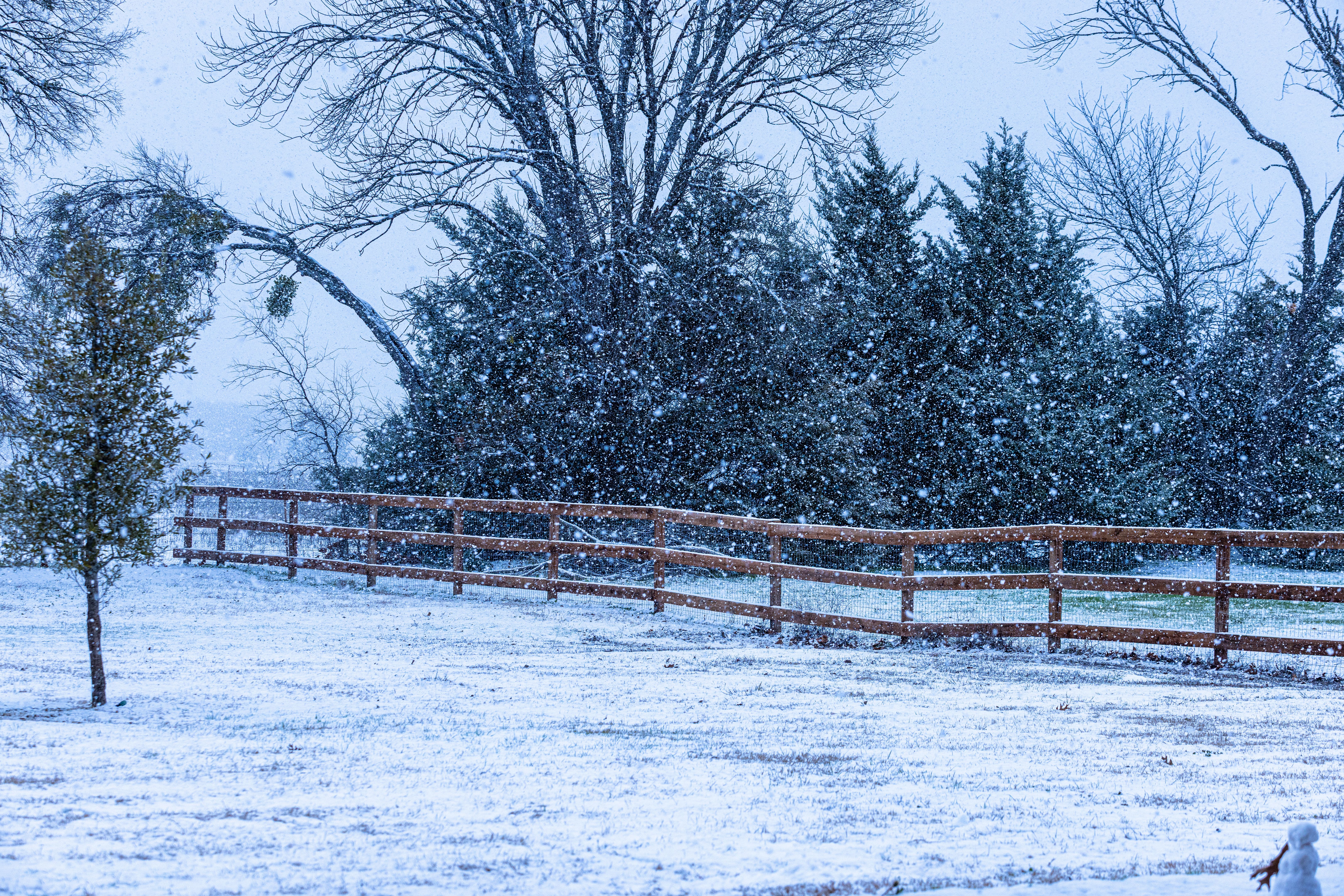 texas winter real estate