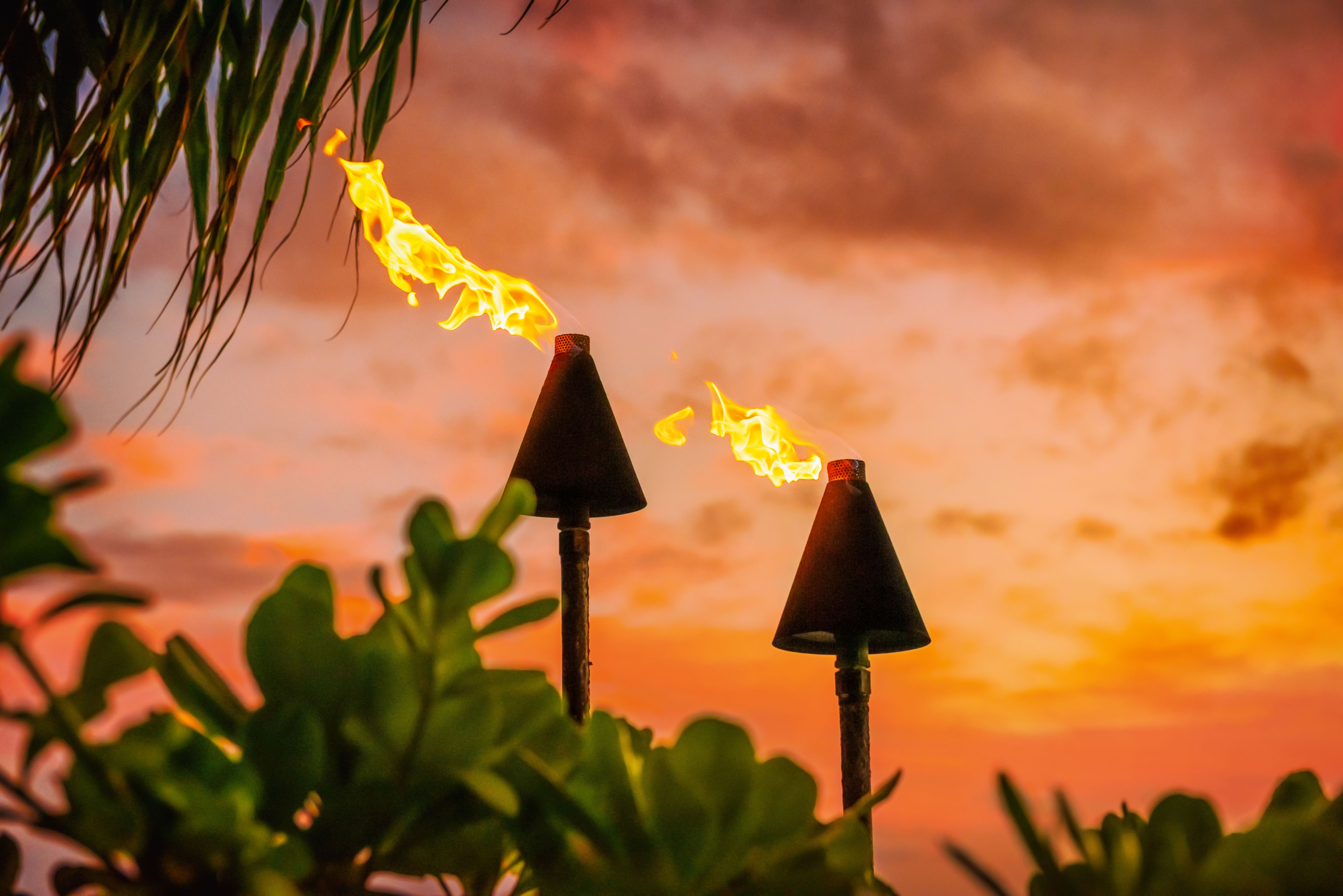 hawaiian luau