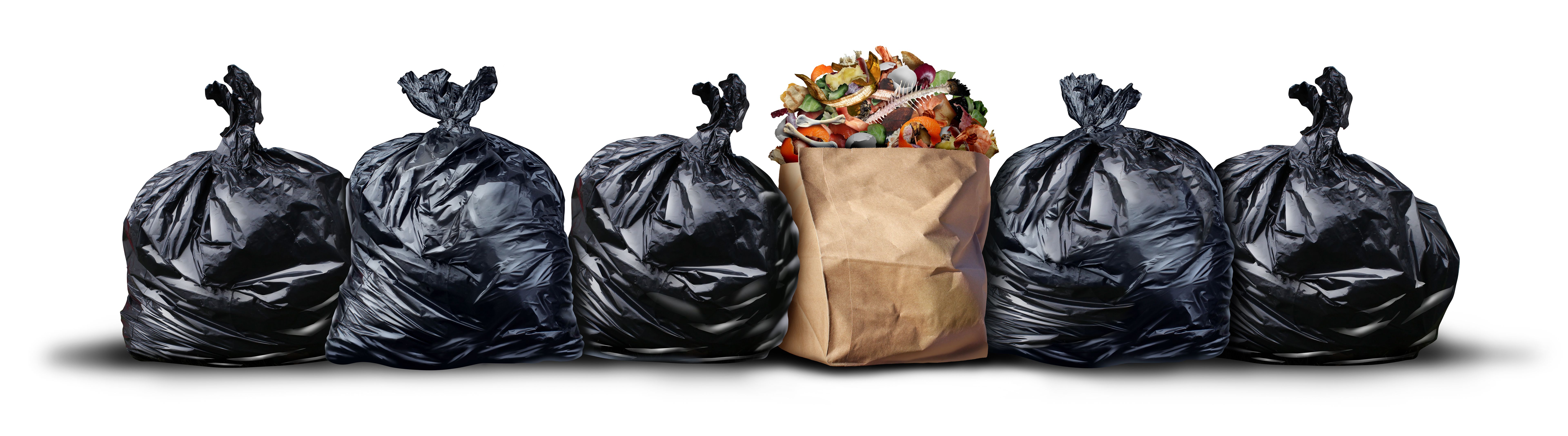 sustainable disposal