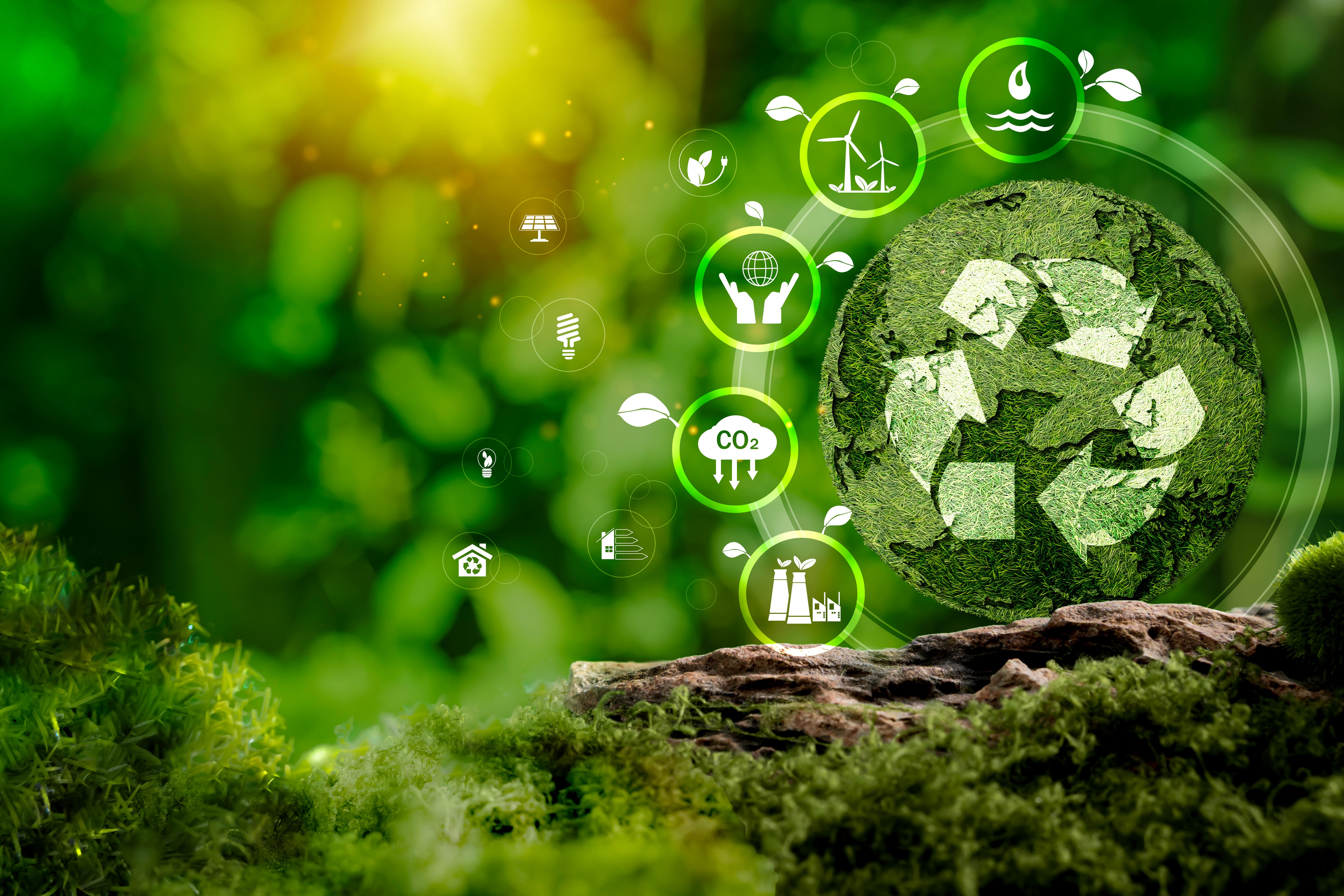 Zero waste, Net zero concept. eco-friendly. Climate neutral long term strategy. Sustainable business development.