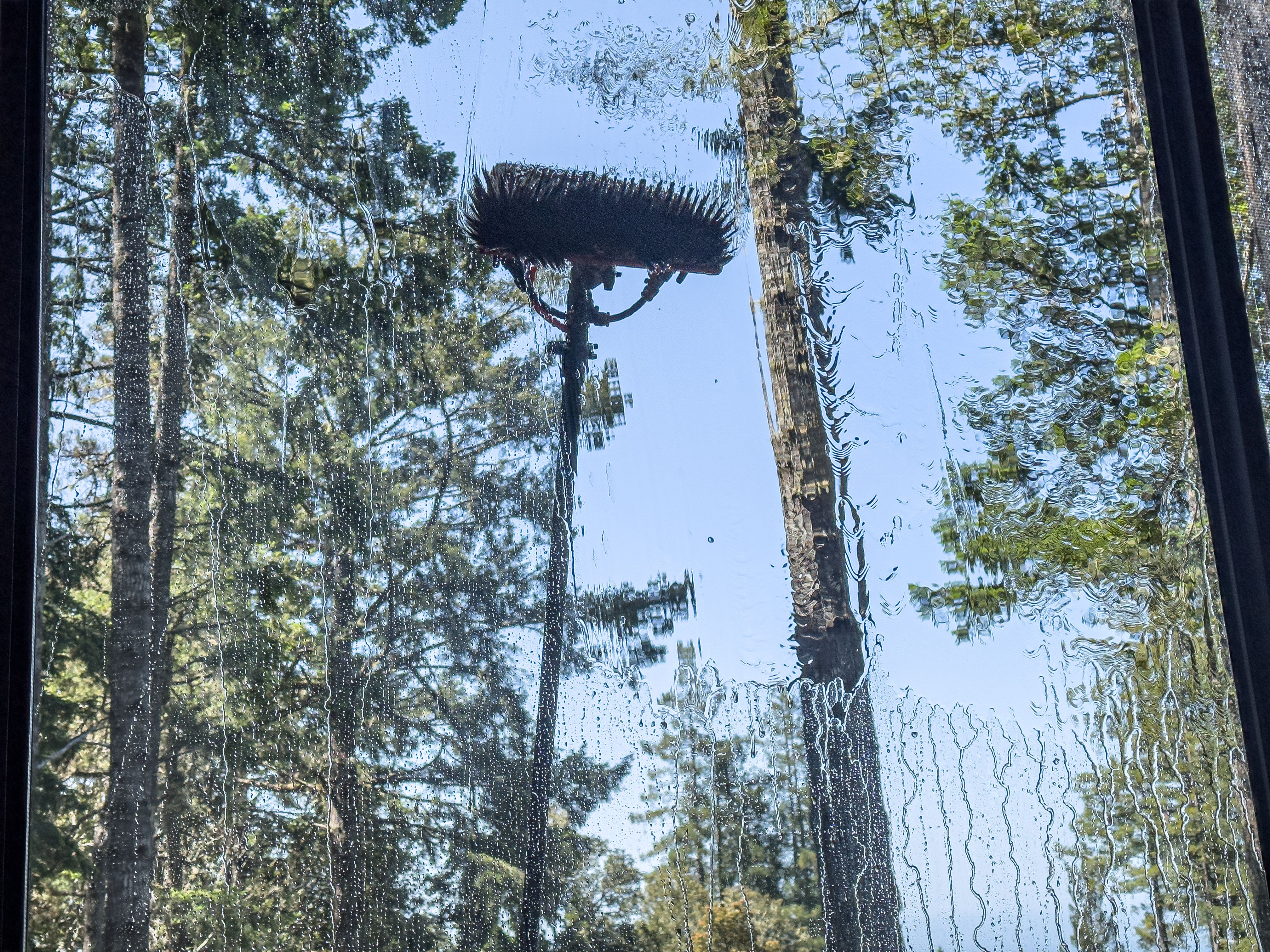 window cleaning trial