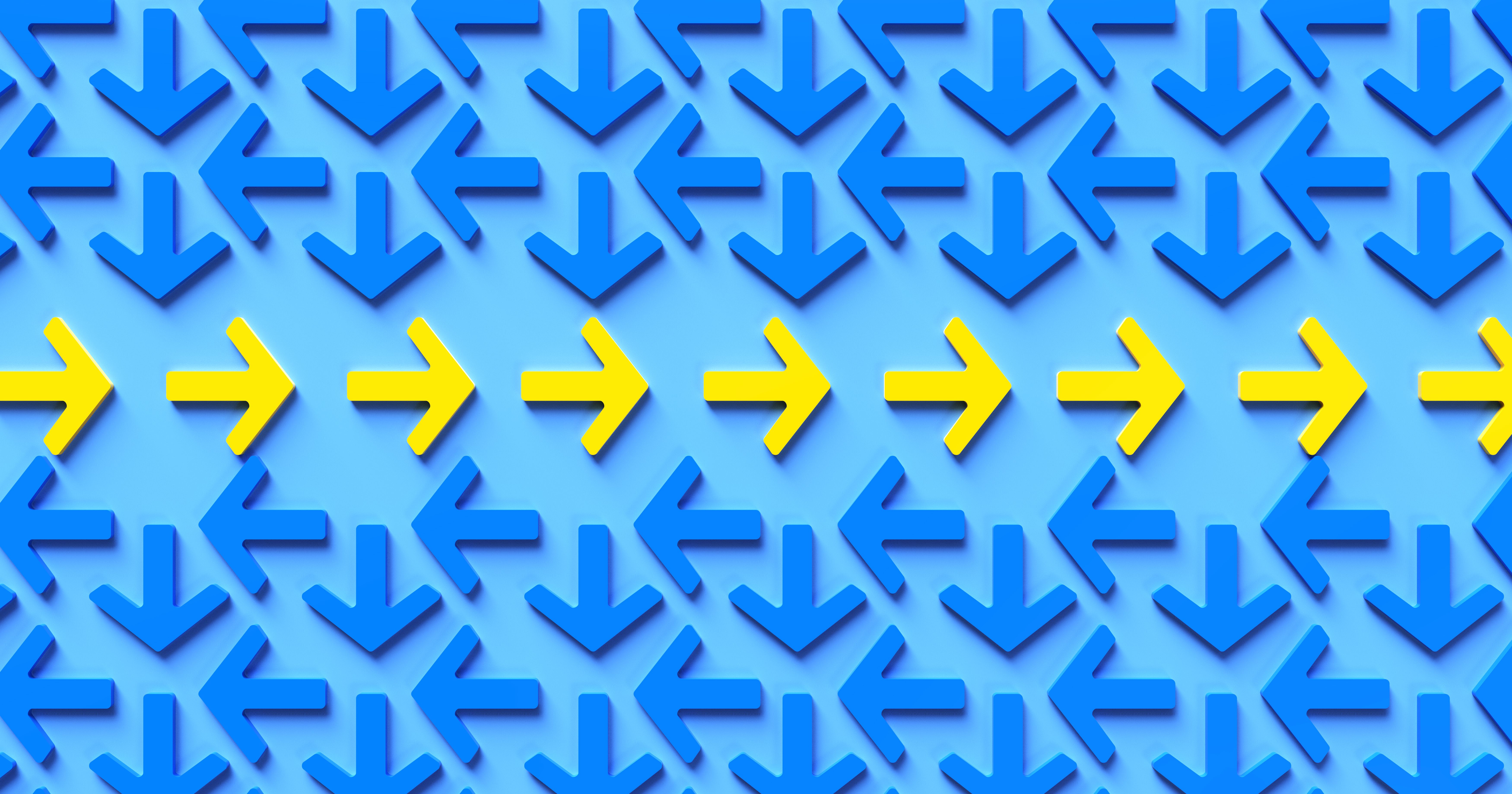 experienced tour guide