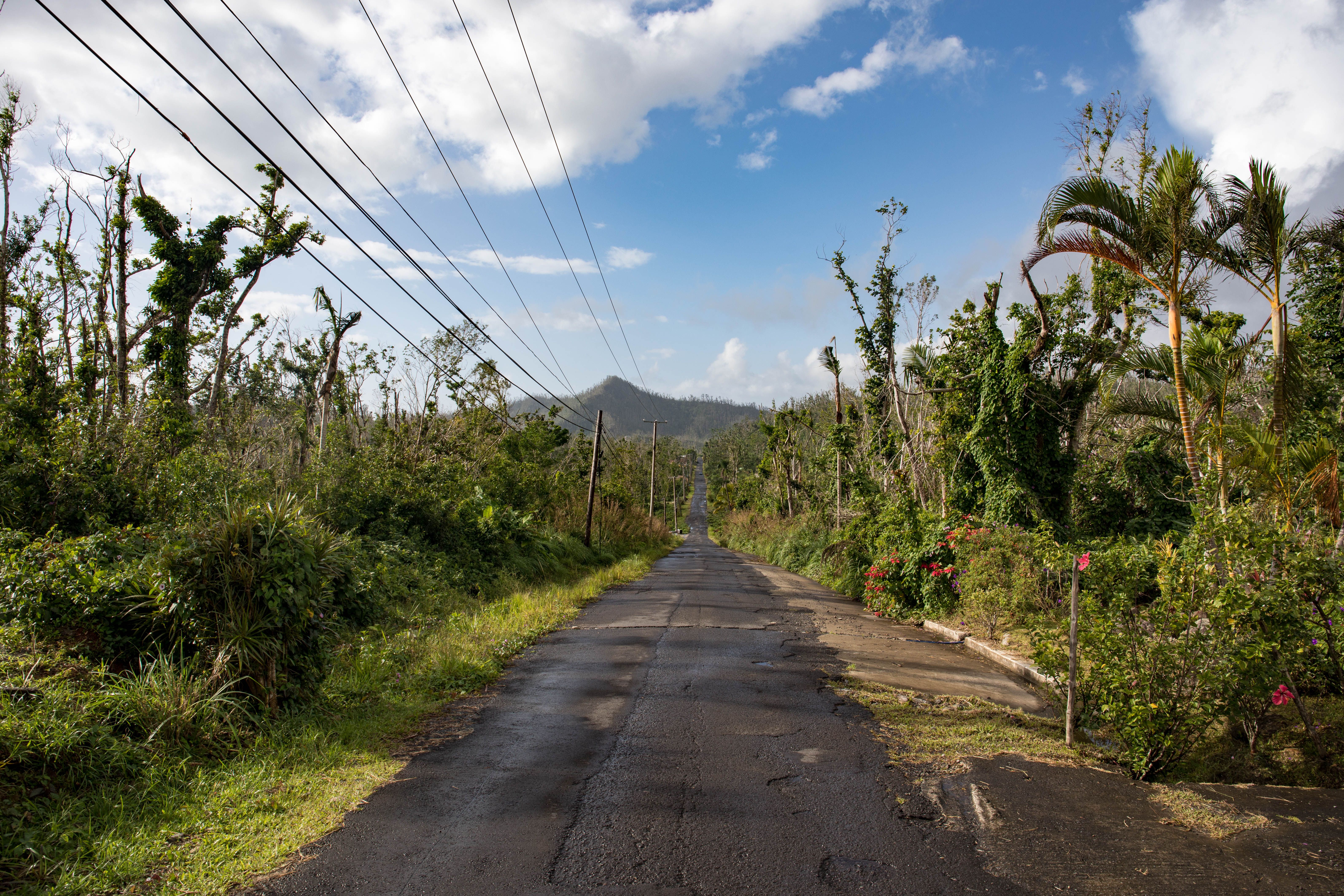 road in labasa