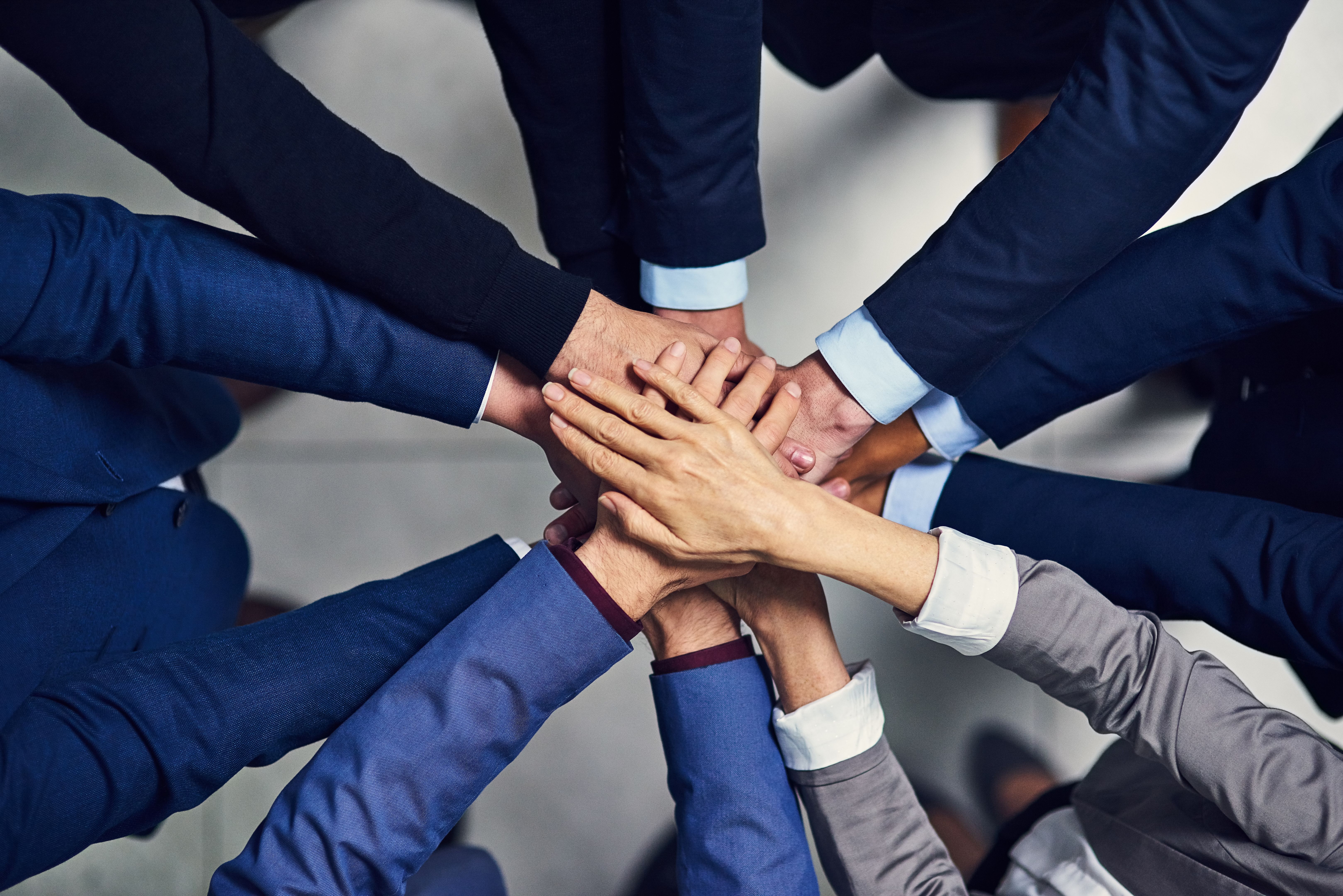 corporate team volunteering