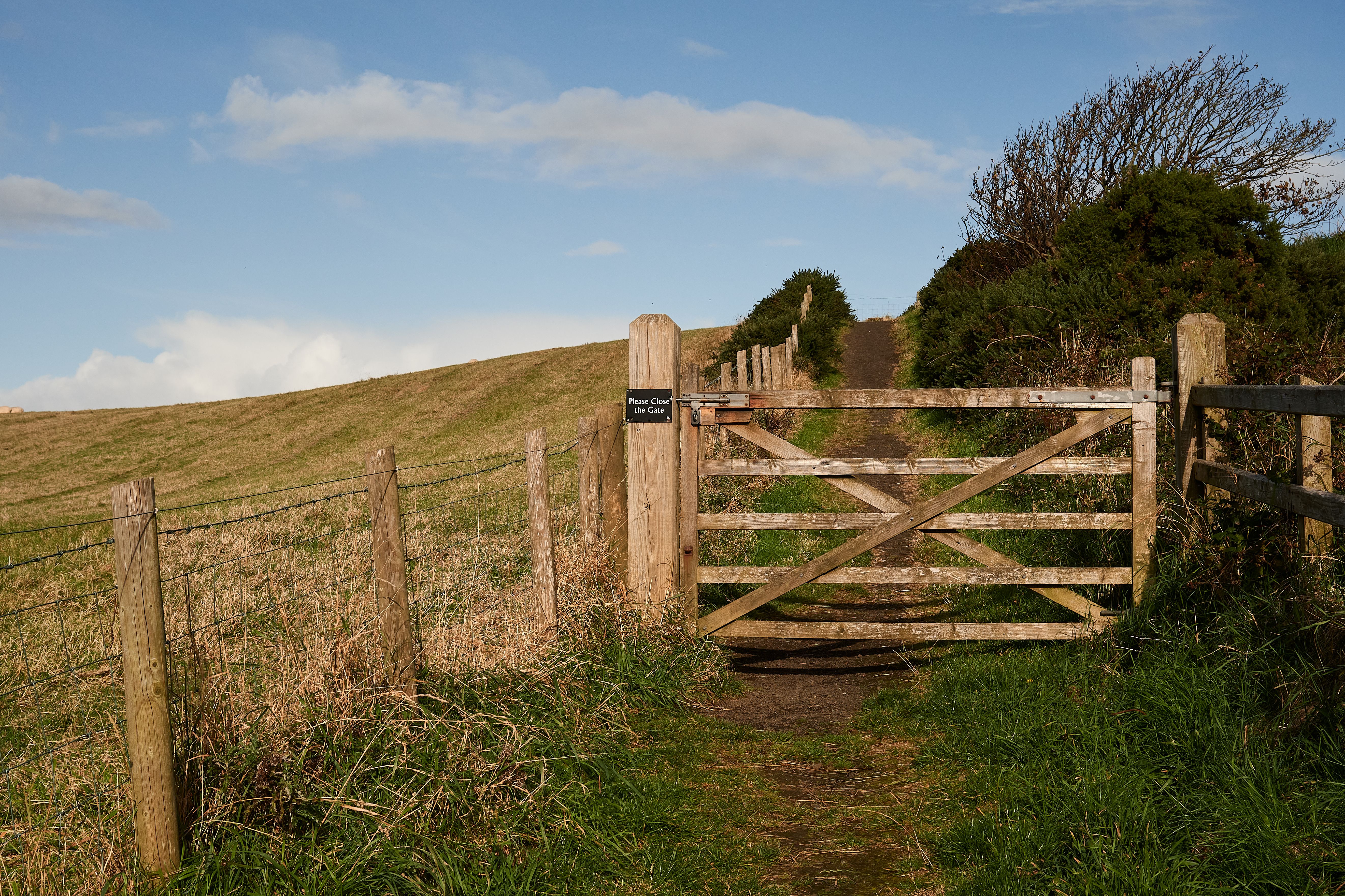 Rustic gate leading to a scenic Irish countryside path under the morning sun Rustic gate leading to a scenic Irish countryside path under the morning sun