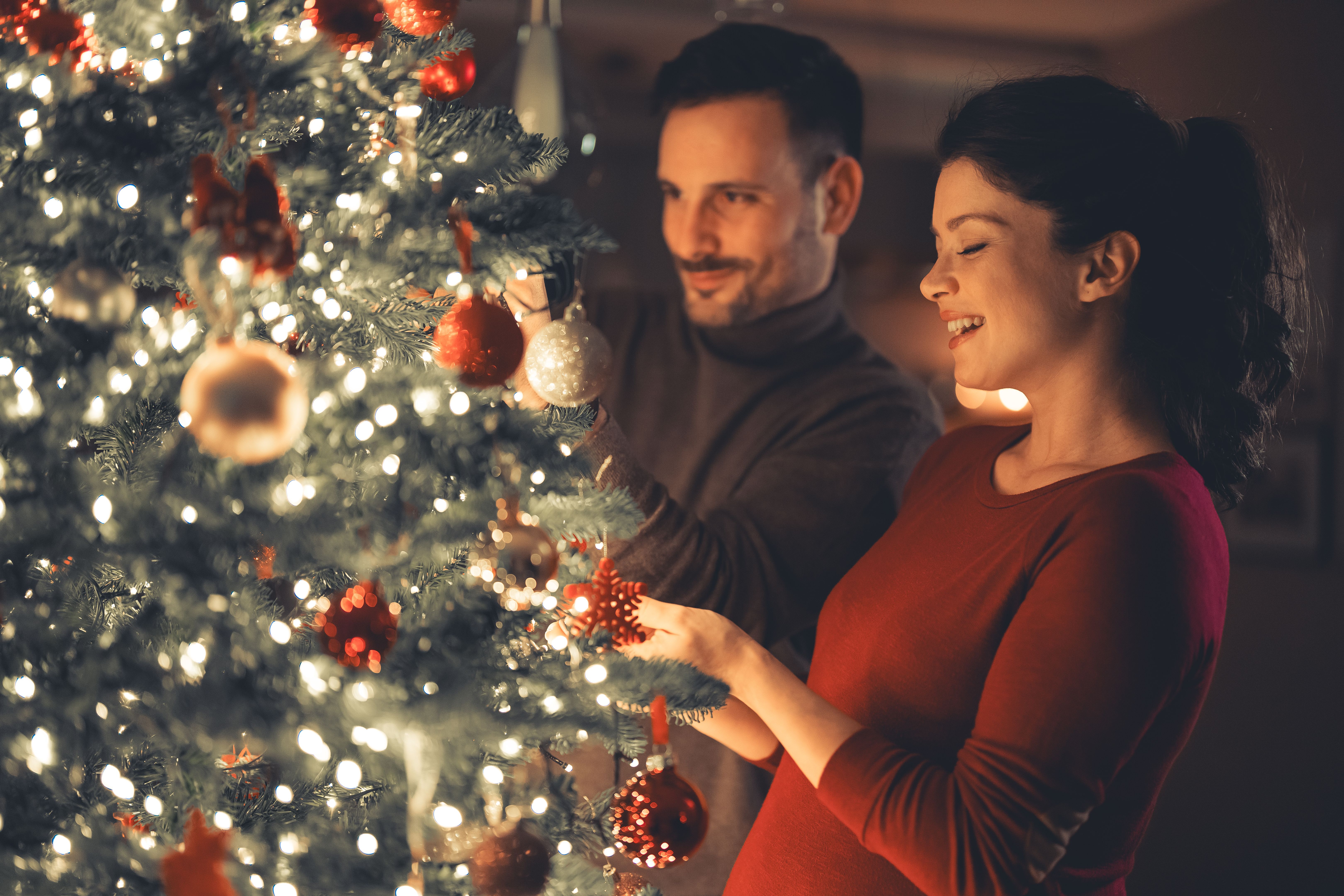 tree trimming equipment