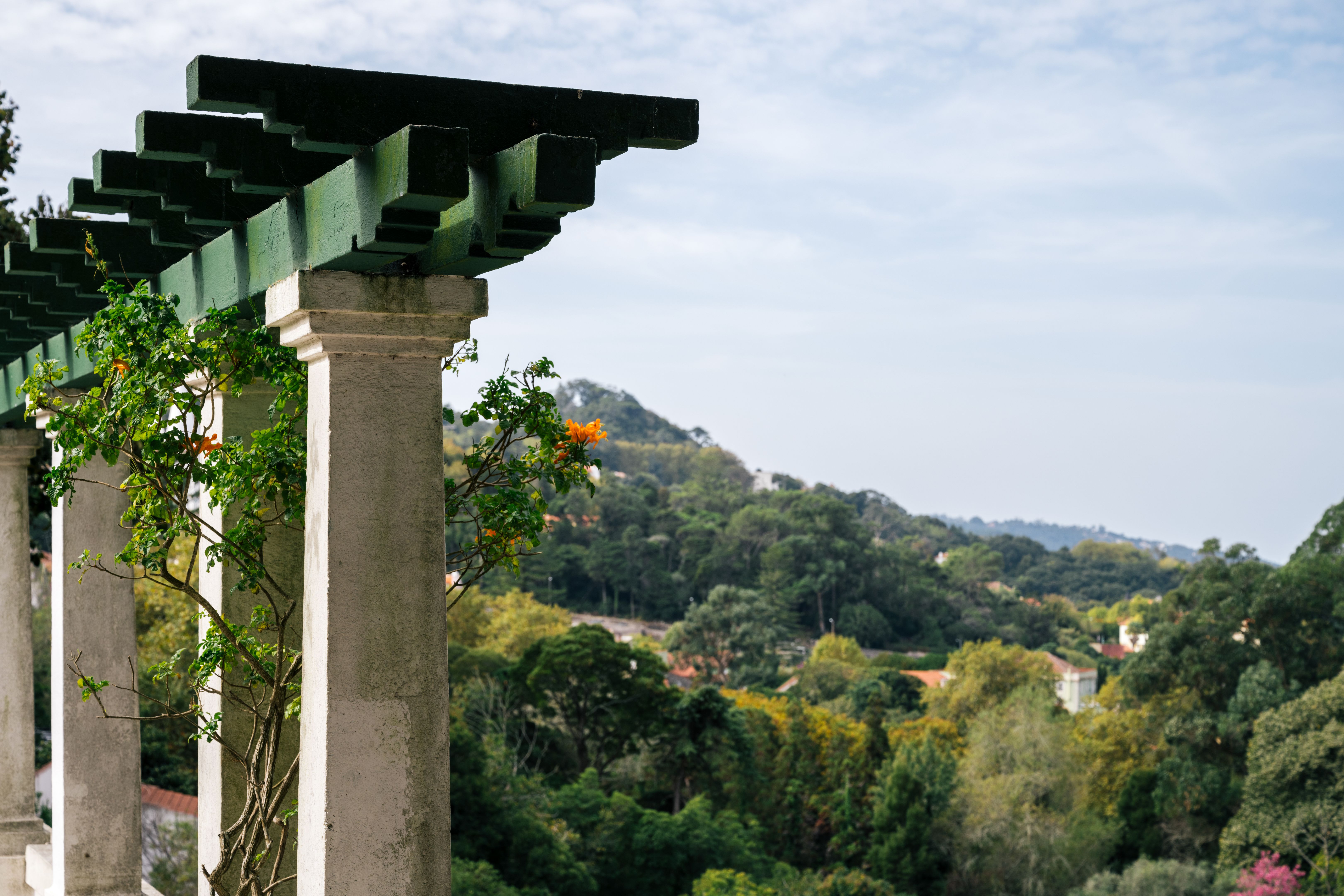 custom pergola design