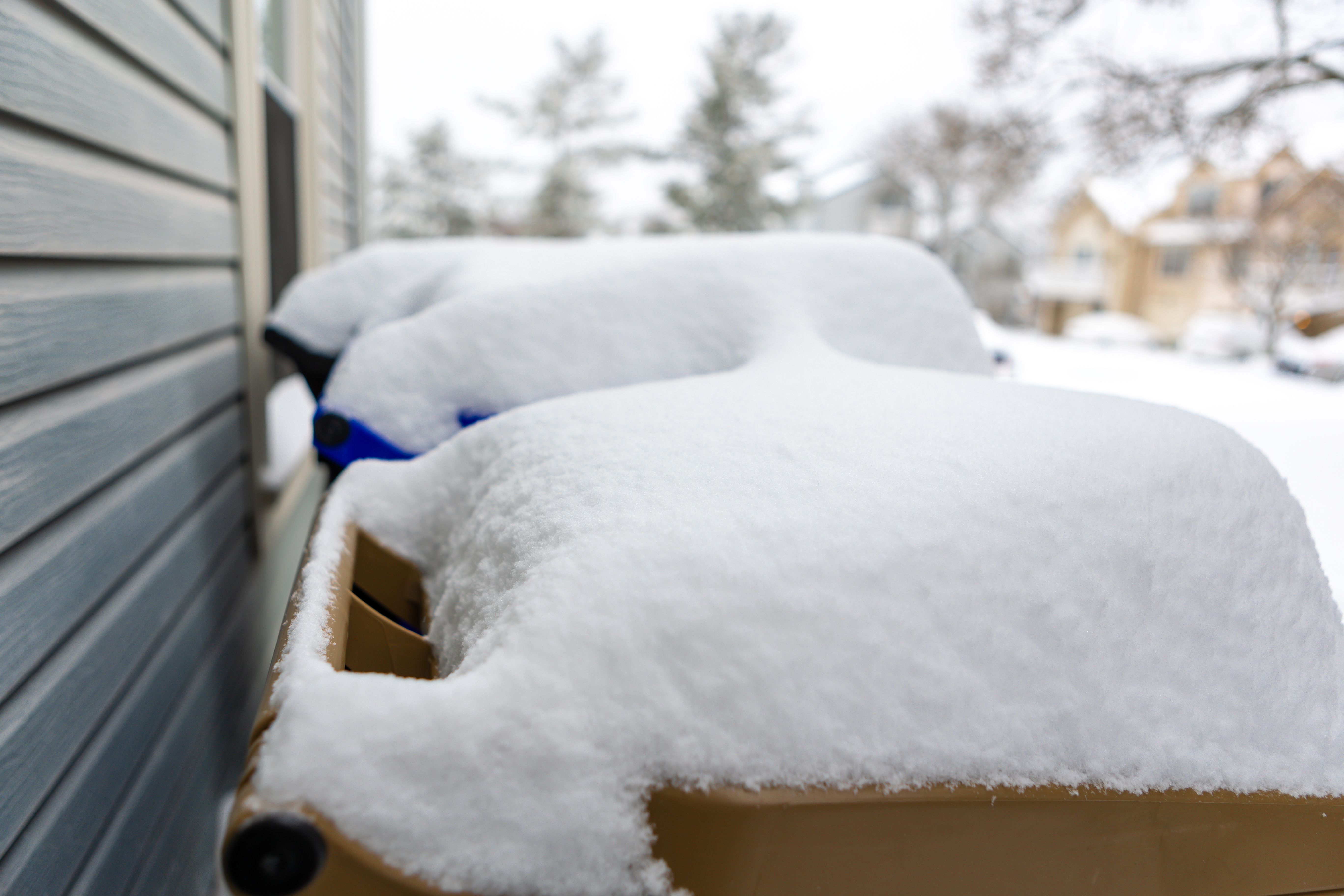 winter waste