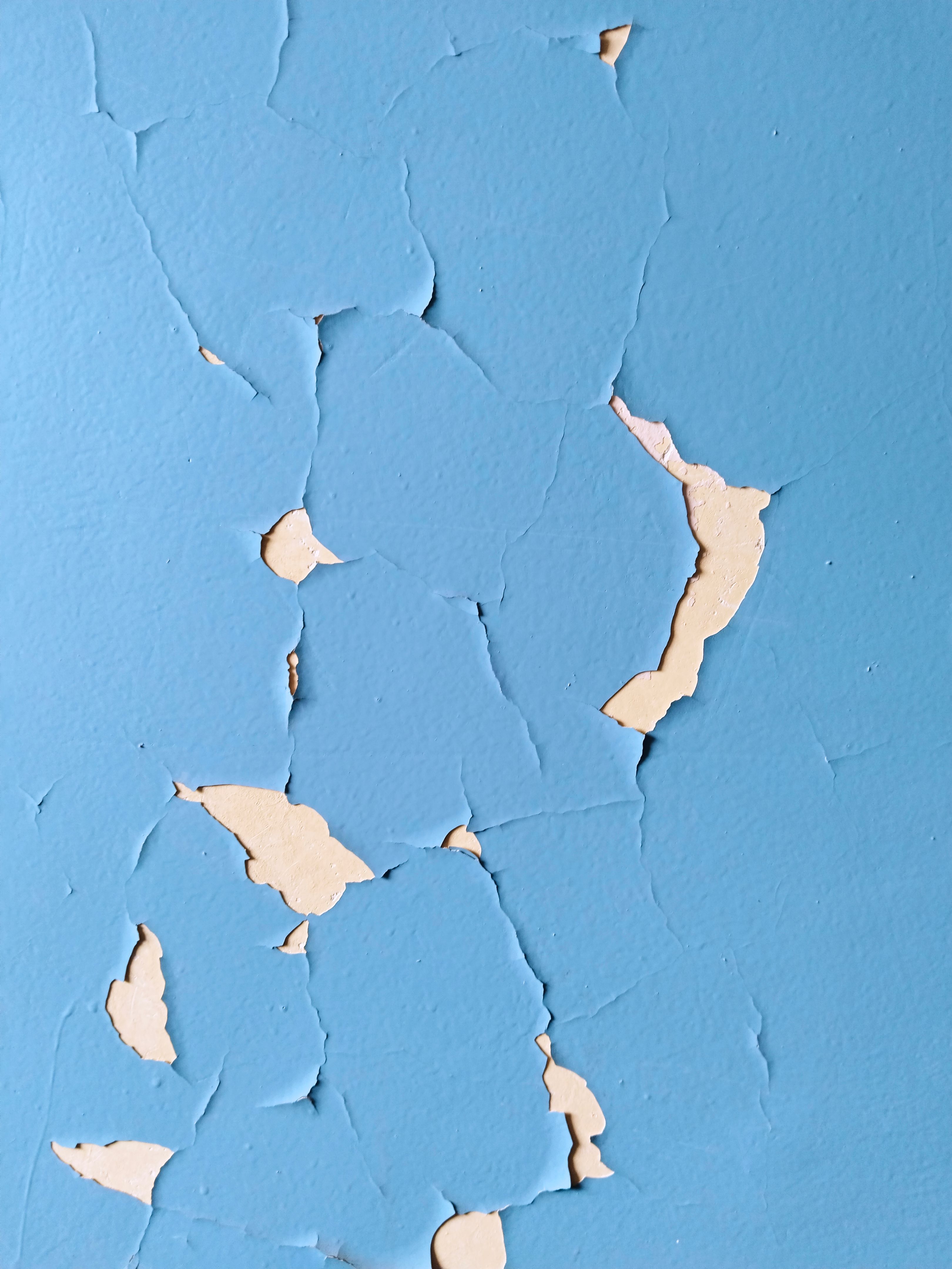 customer service paint