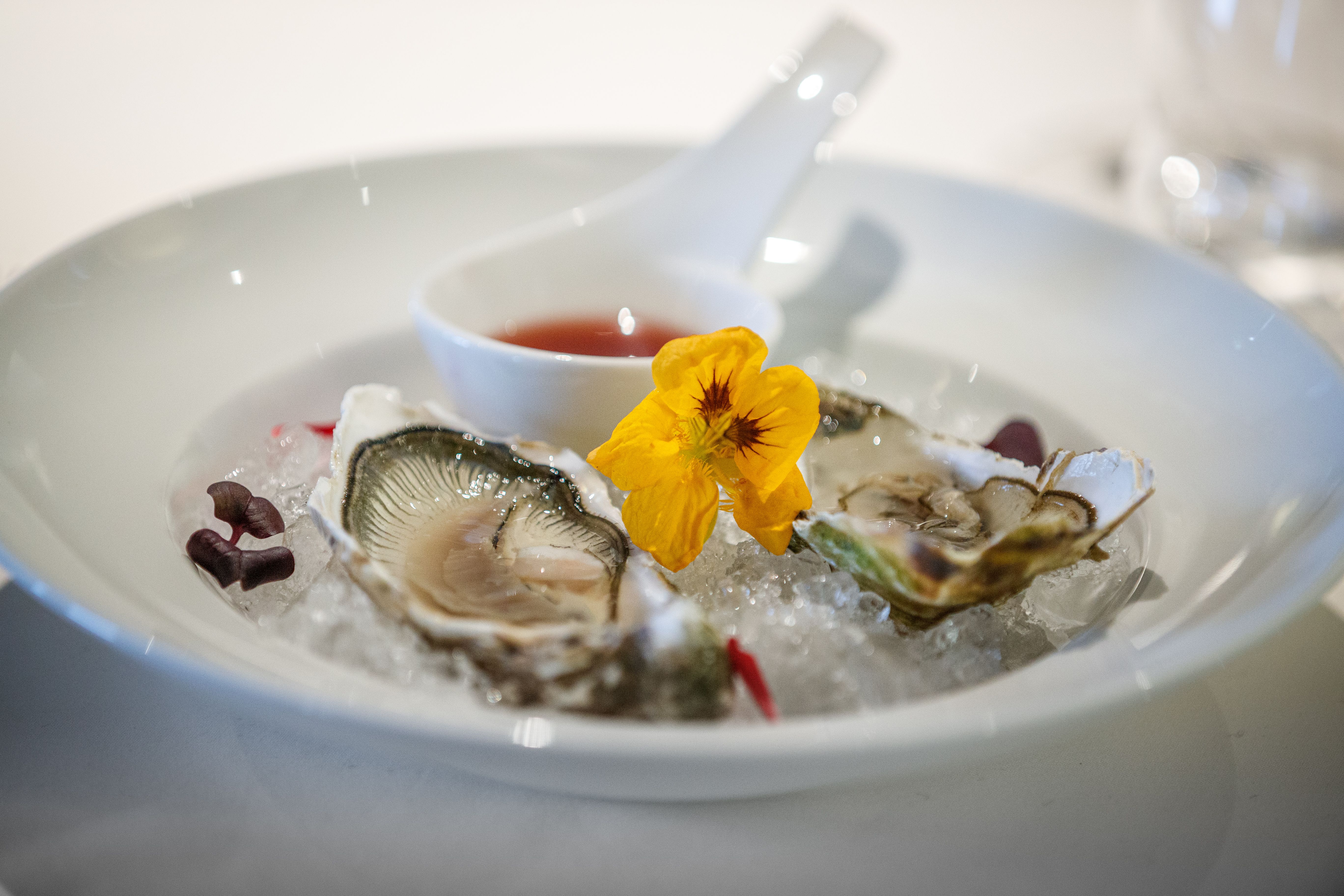 mignonette sauce