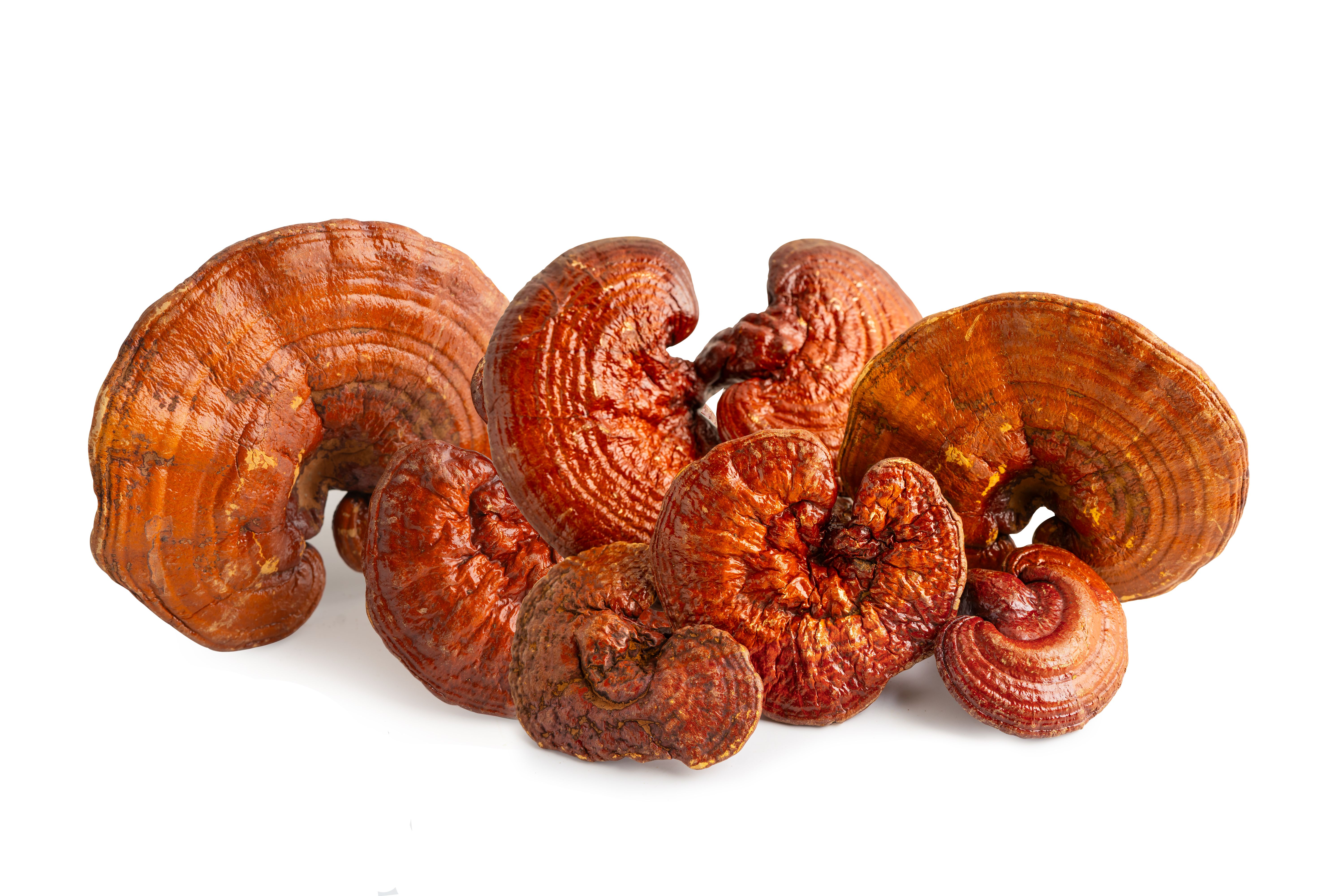 traditional supplements