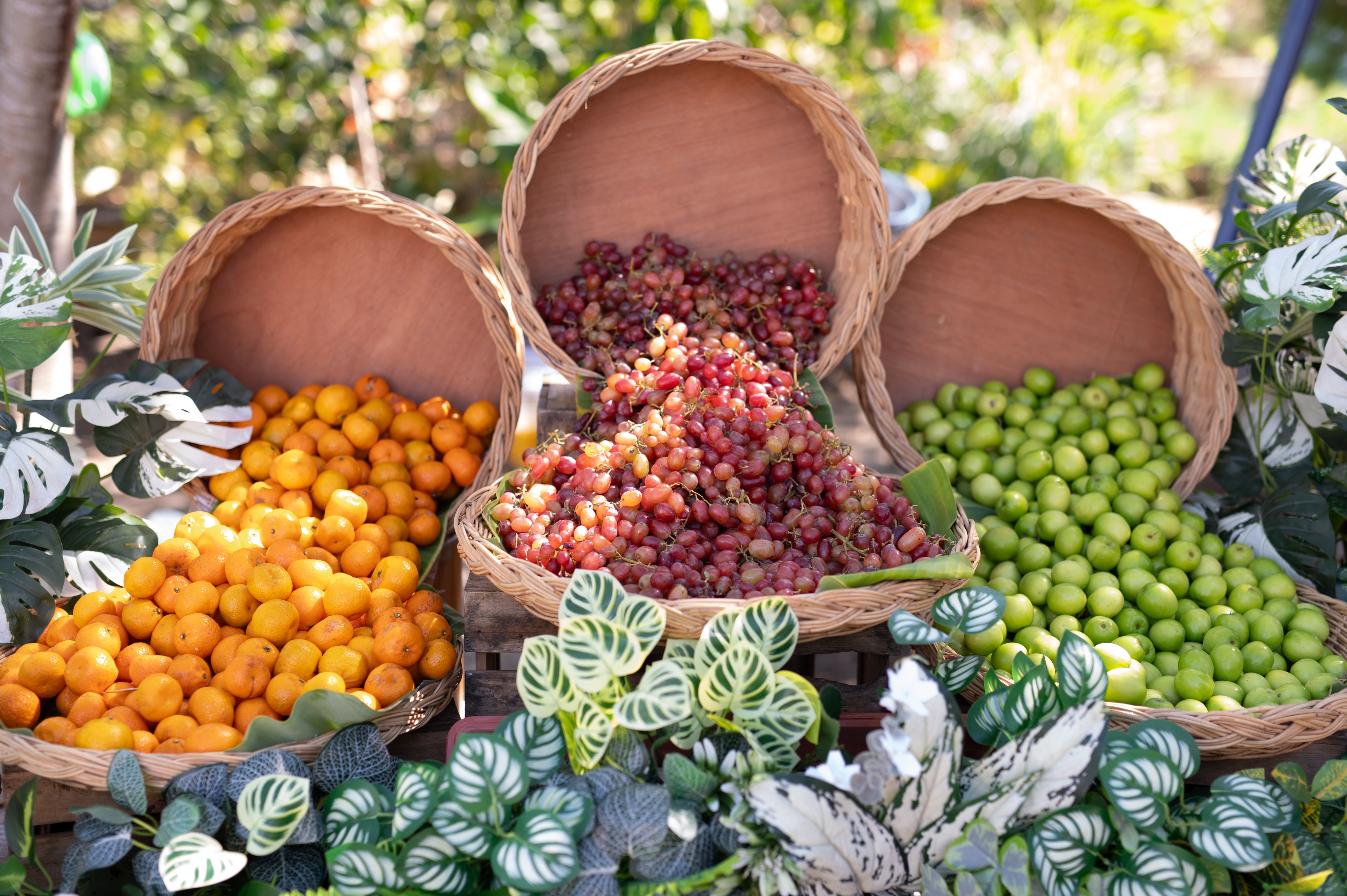 organic fruits market