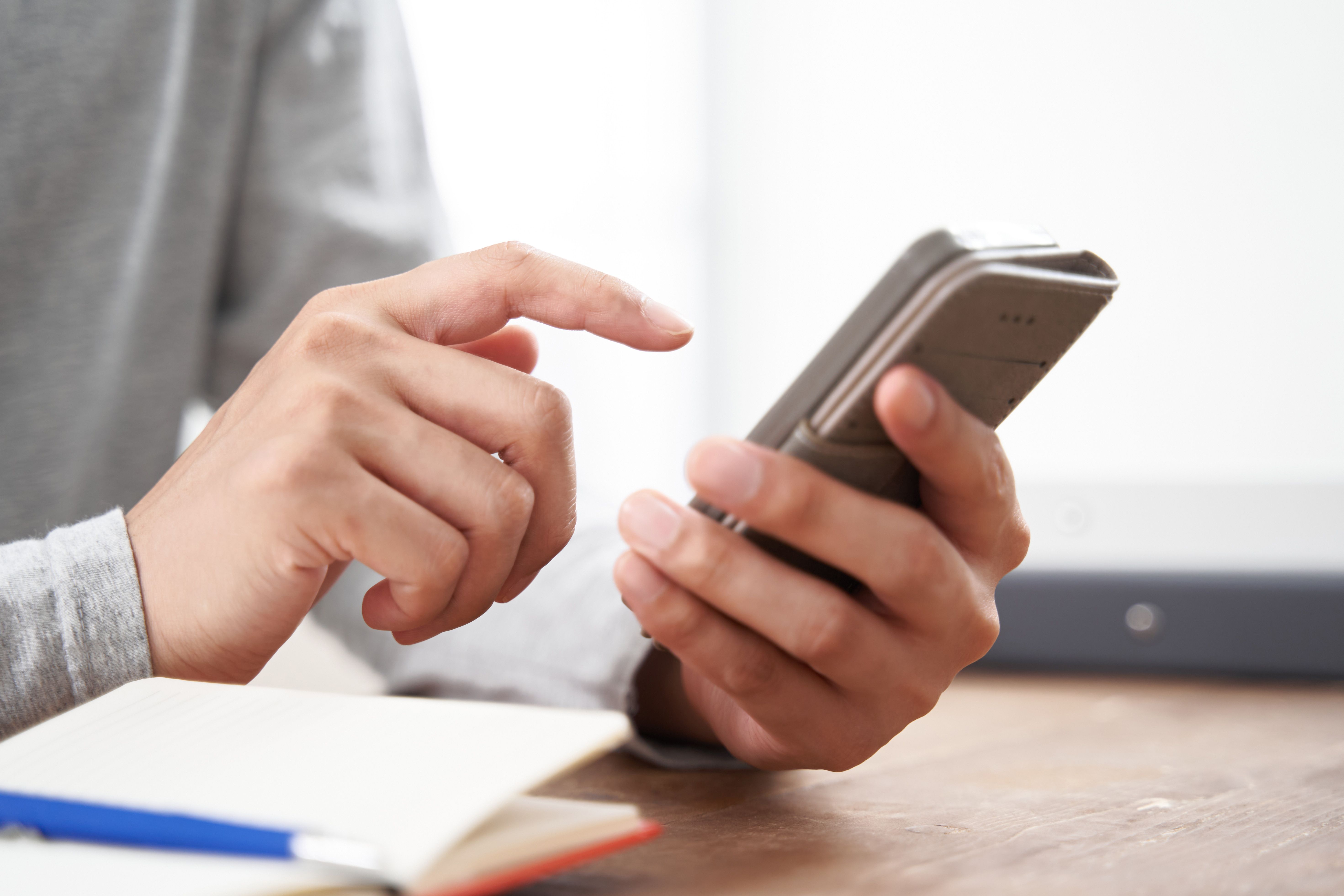 phone case inspection