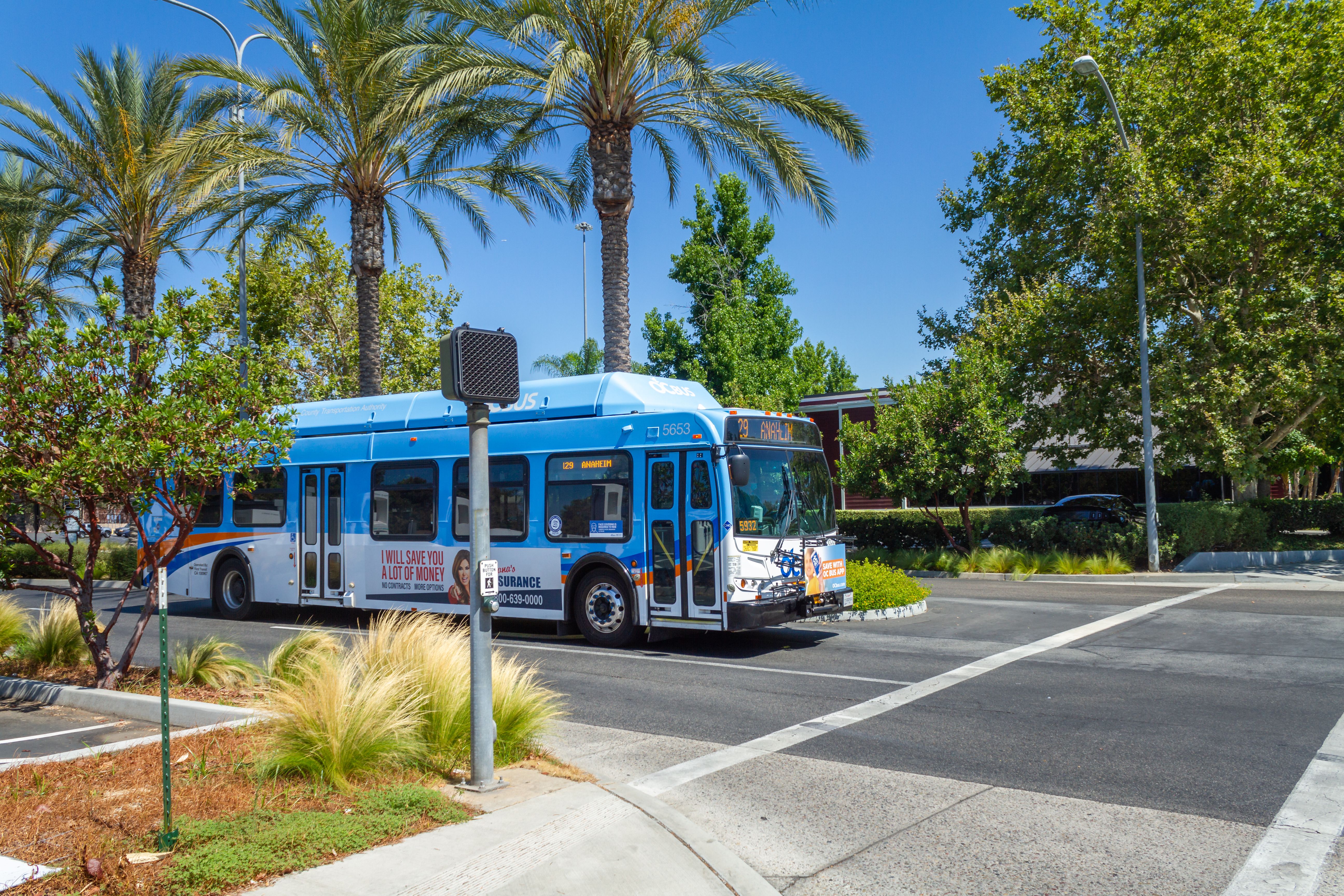 OCTA bus stopped at a crosswalk