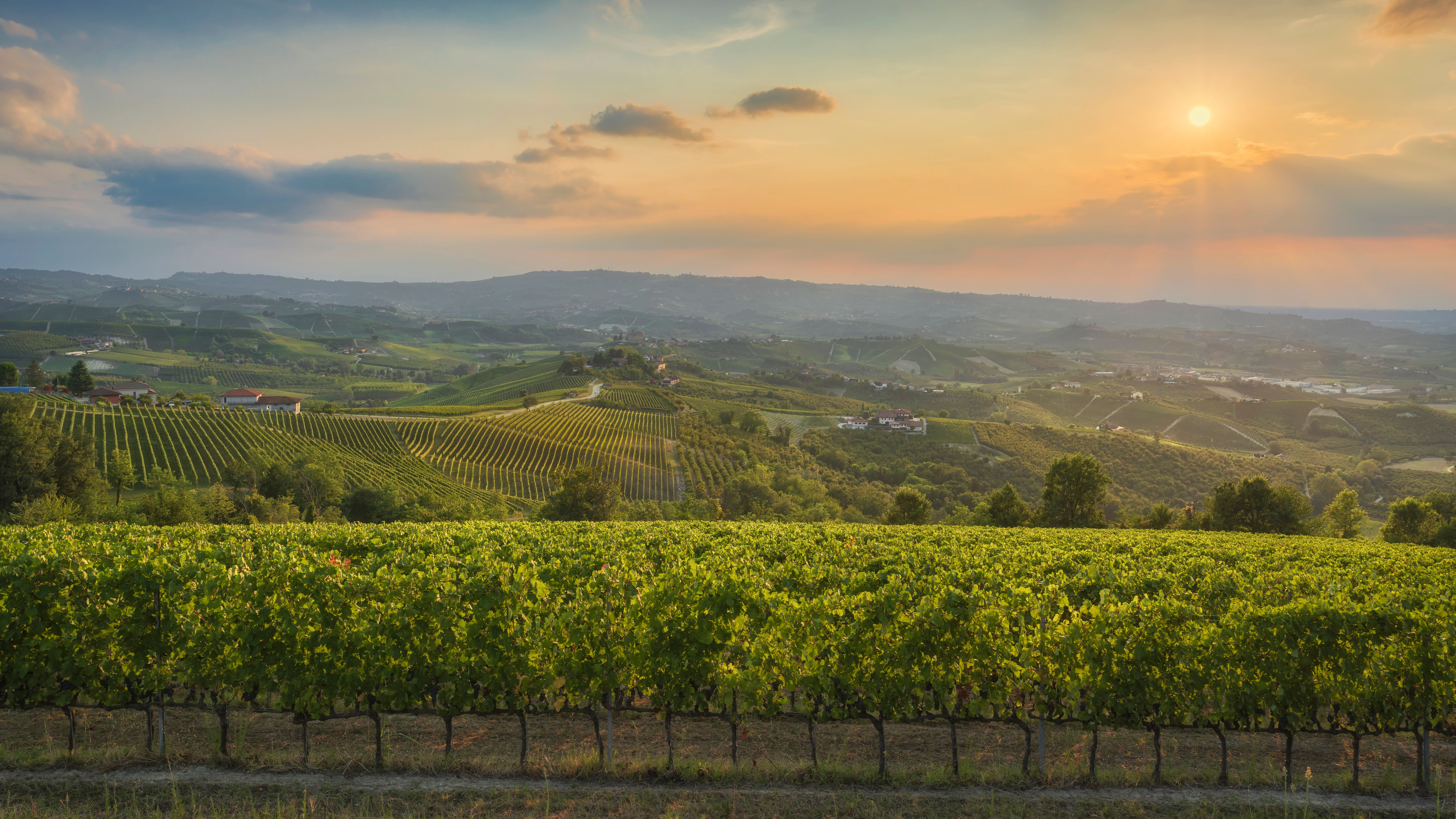 Langhe Vineyards and Grinzane Cavour at Golden Sunset
