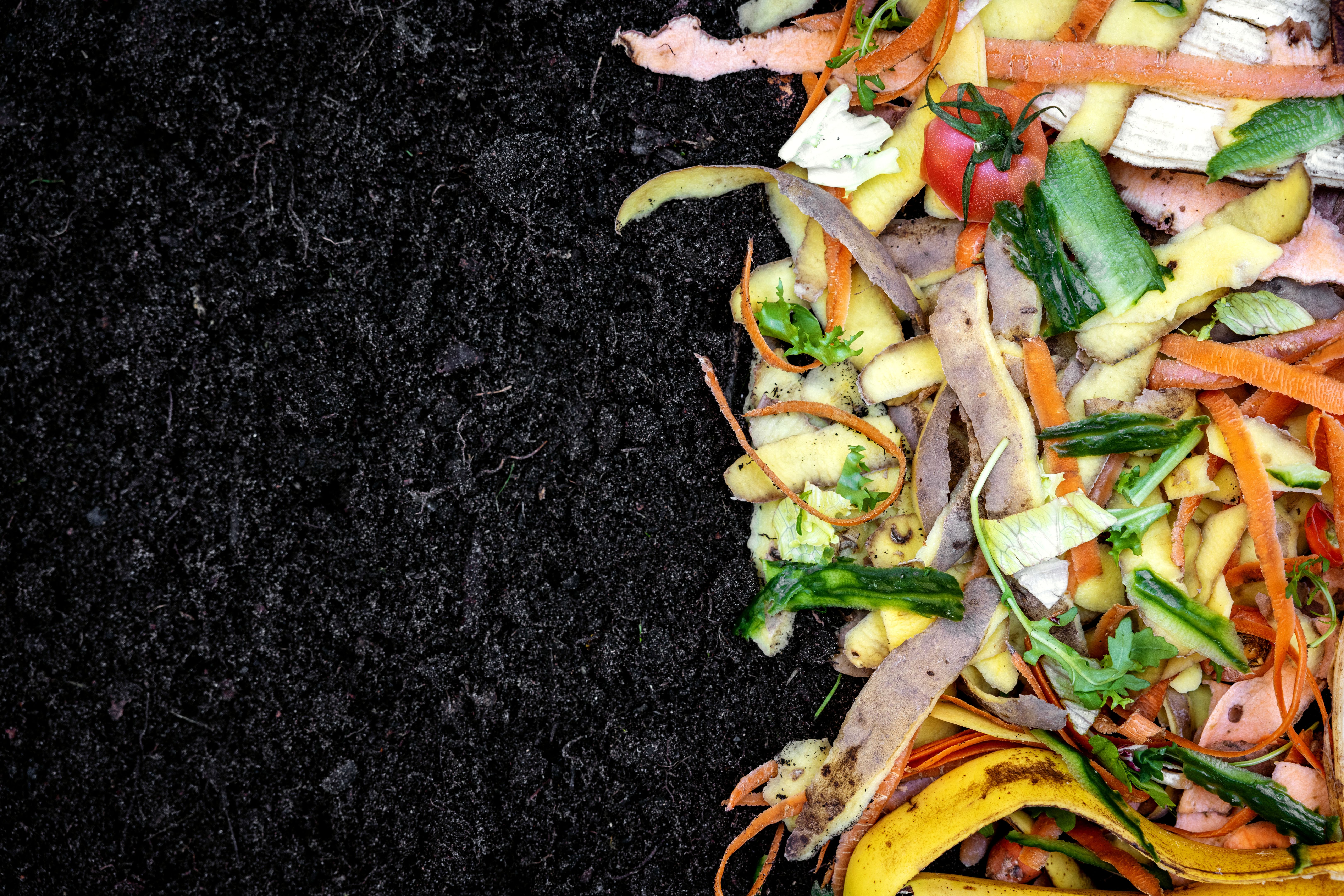 composting garden waste