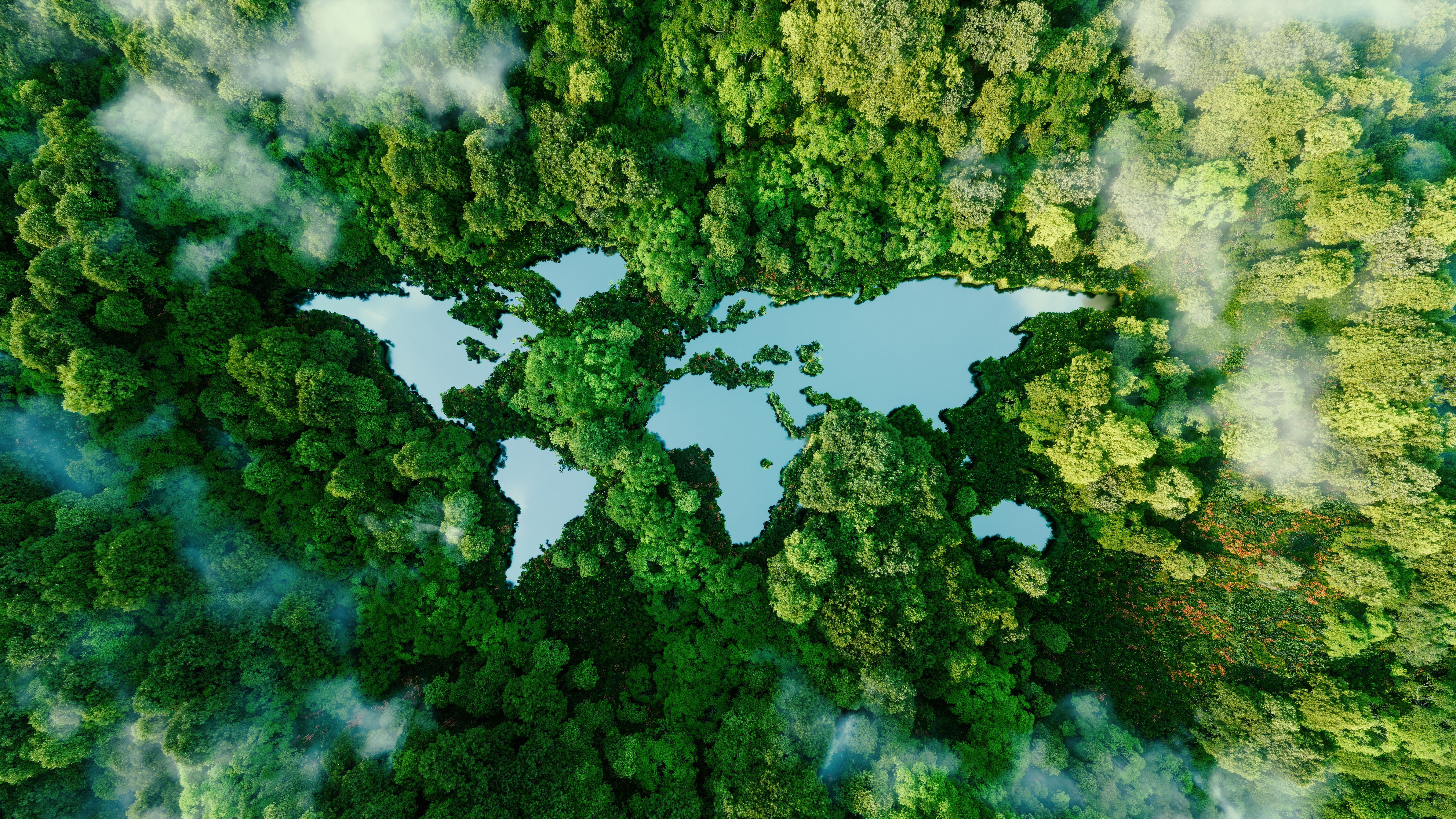 forest conservation