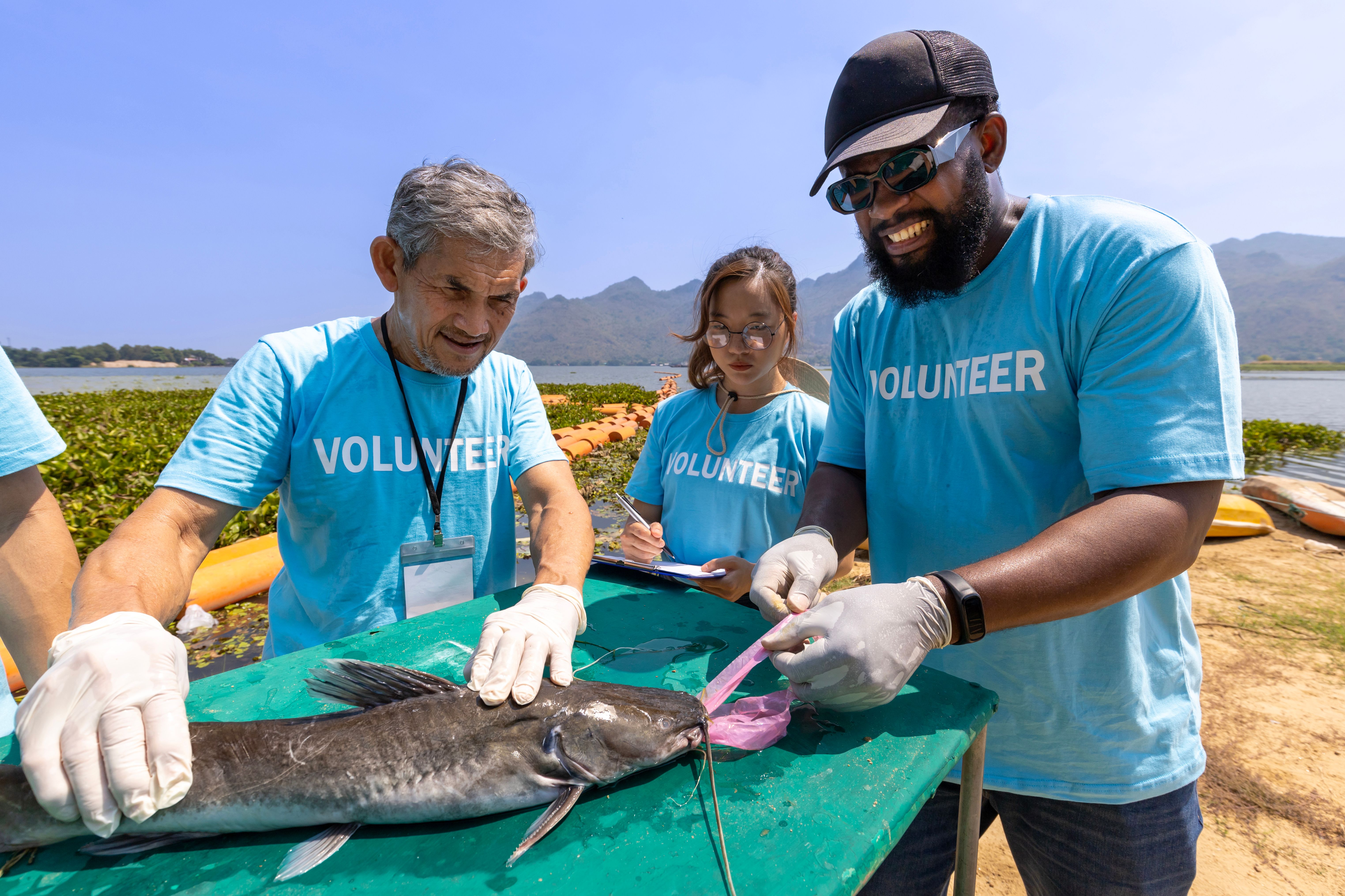 volunteer wildlife