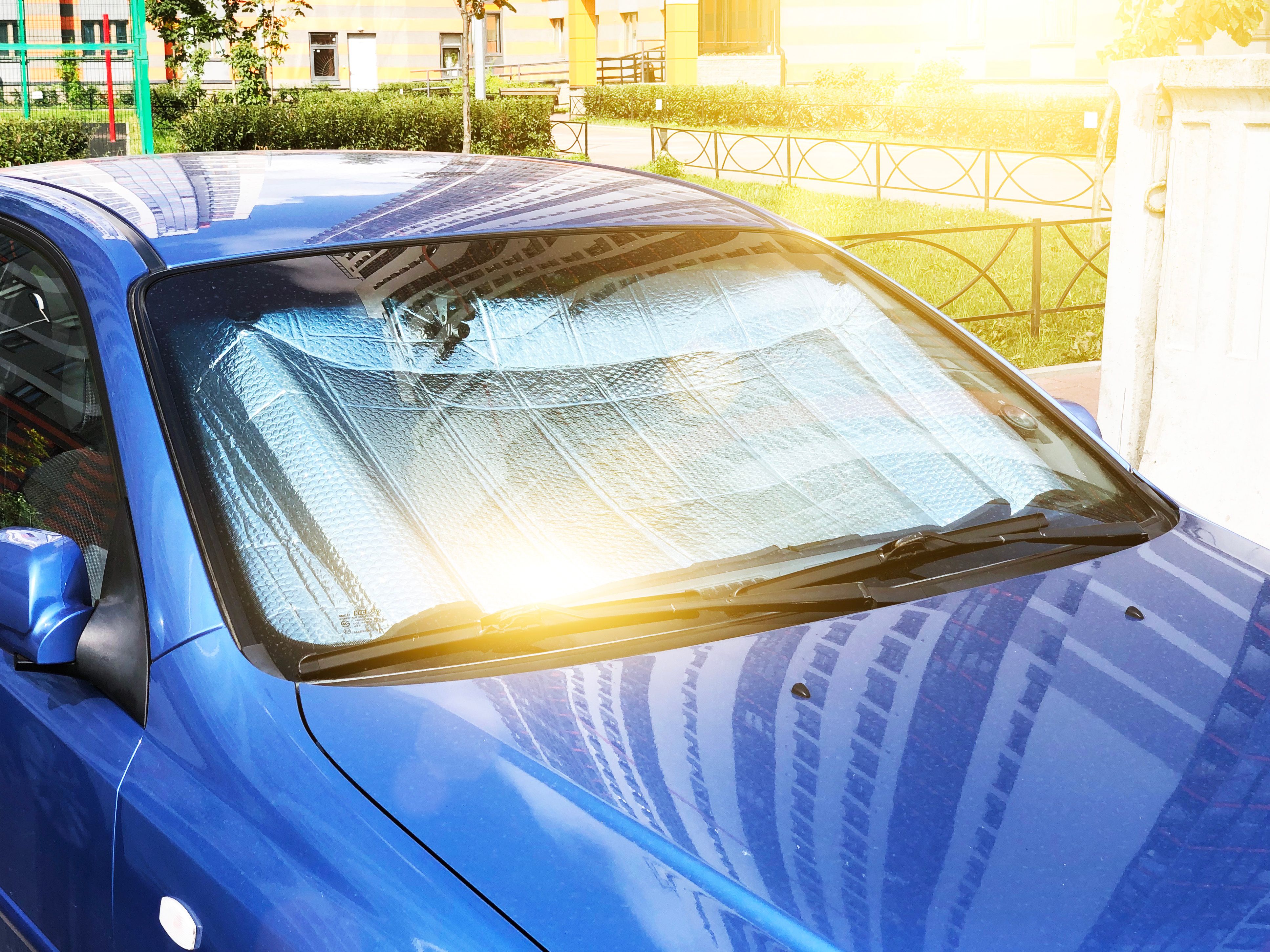 windshield protector