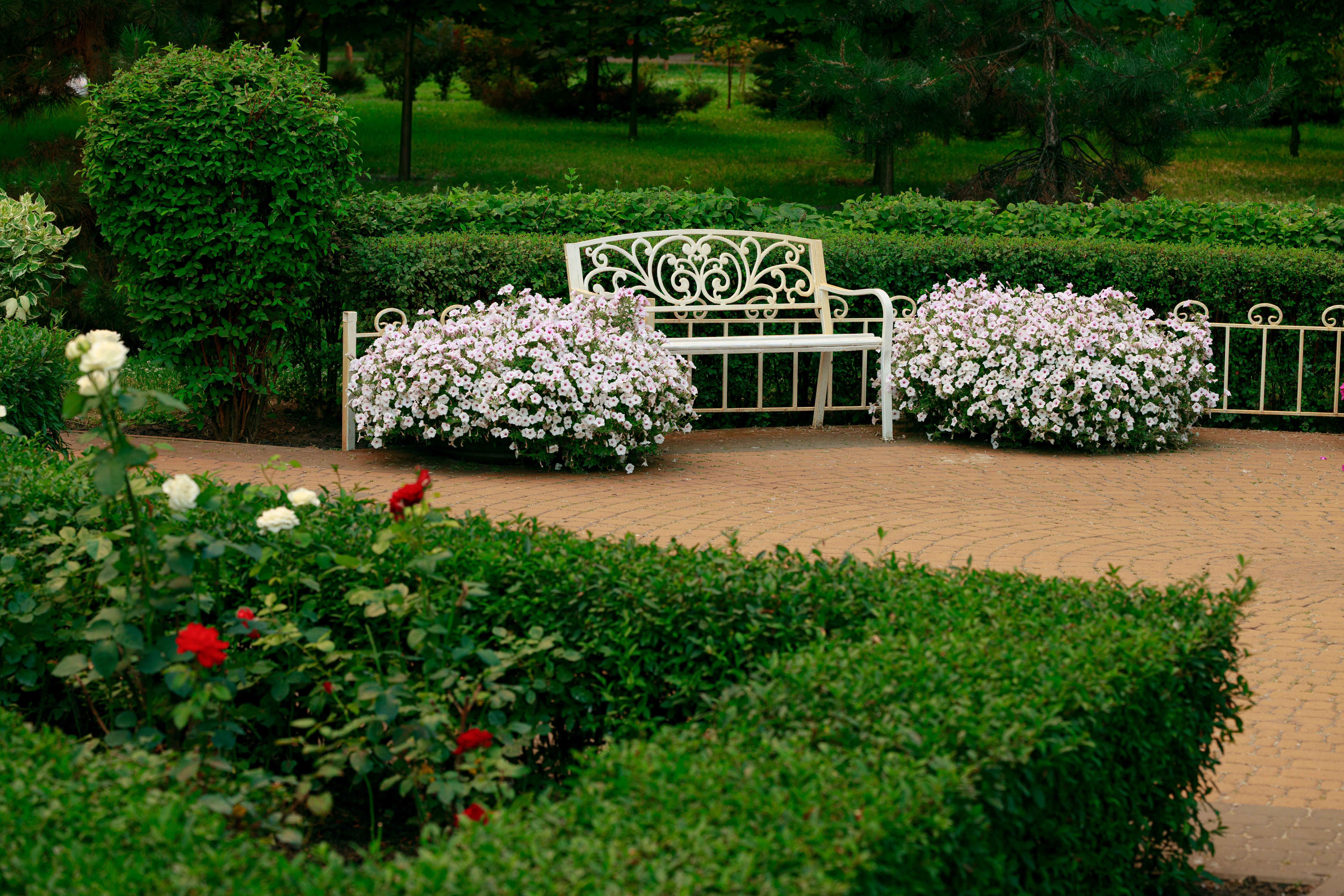 landscaping proposal