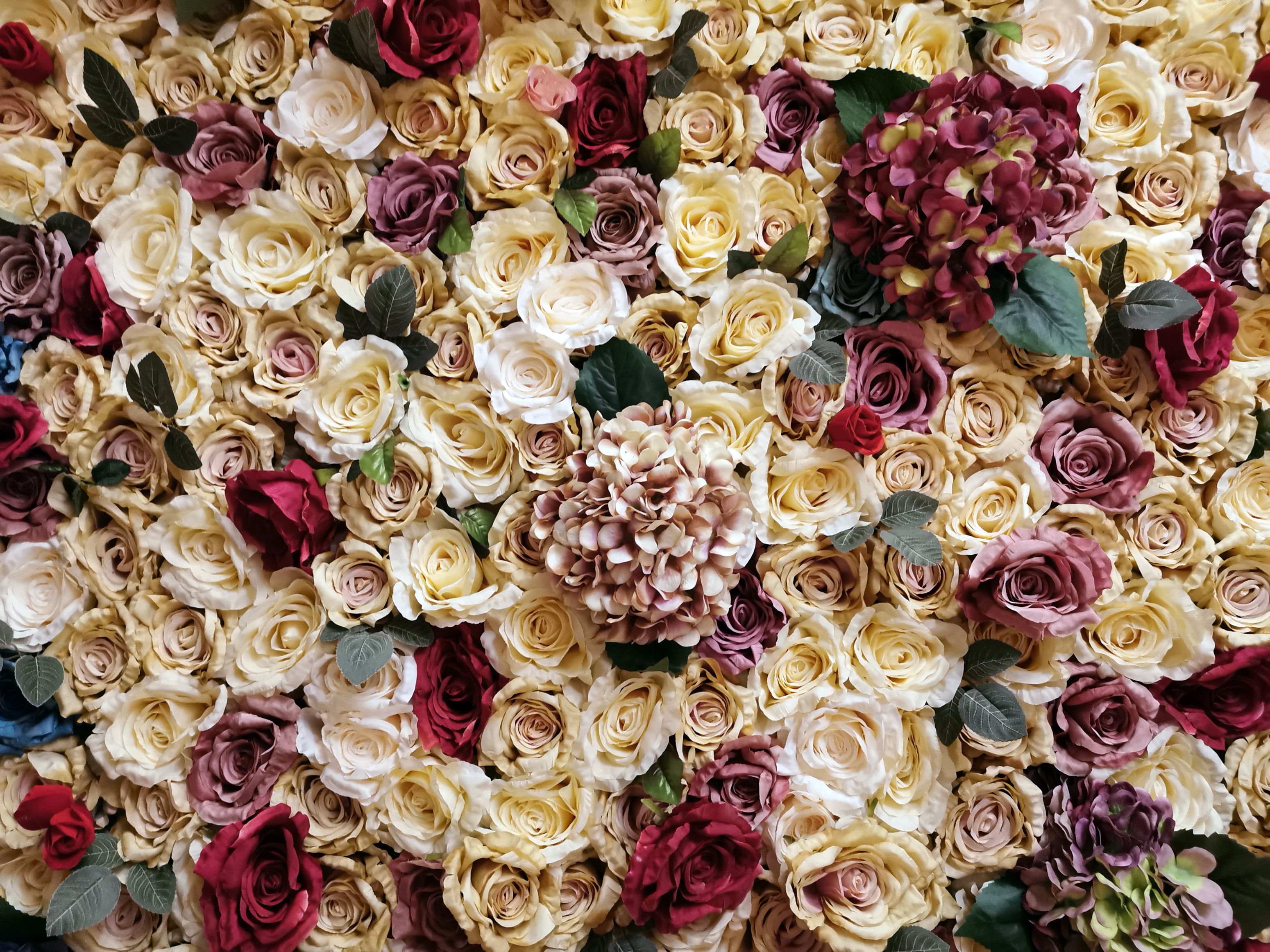 dried roses texture