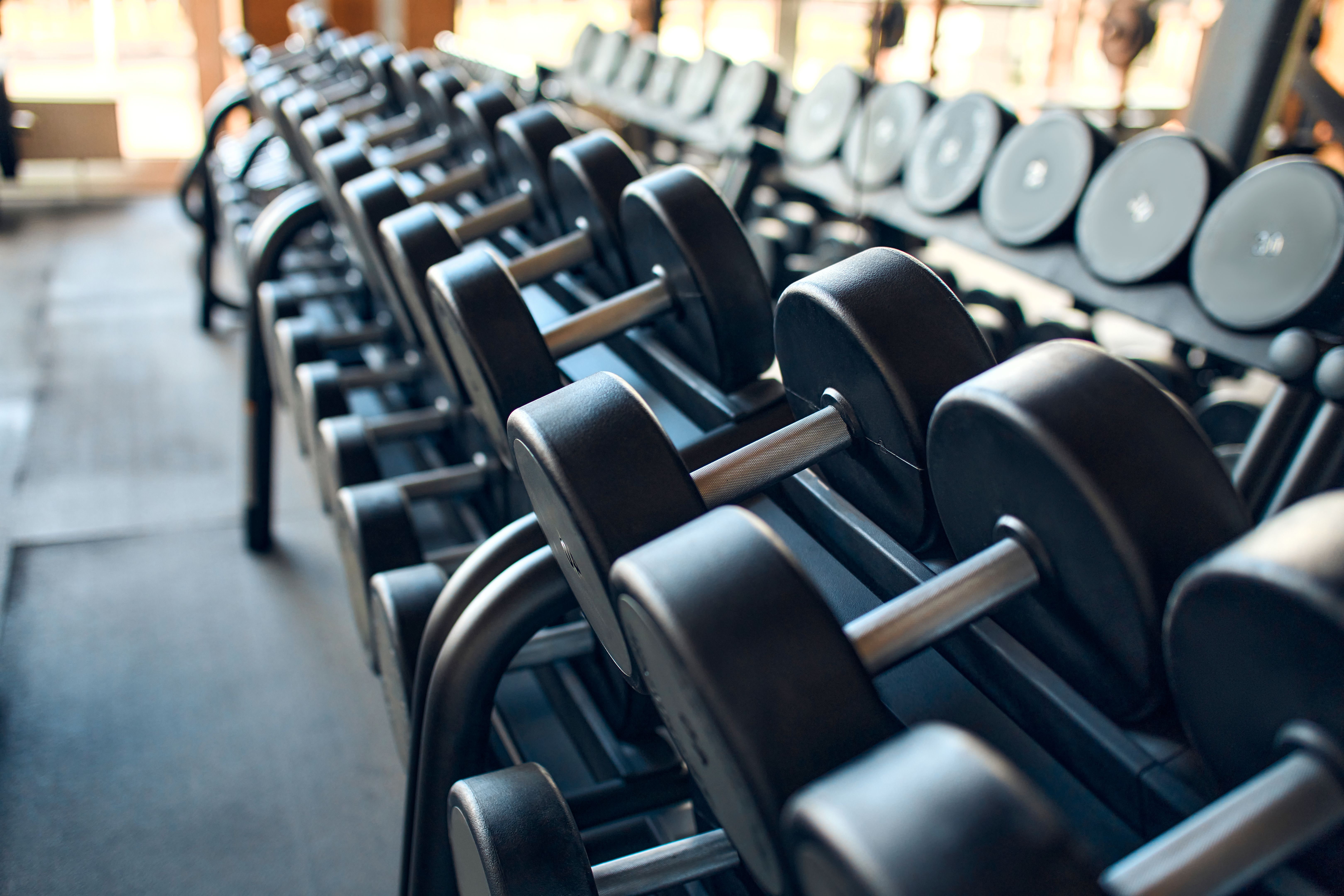 gym equipment