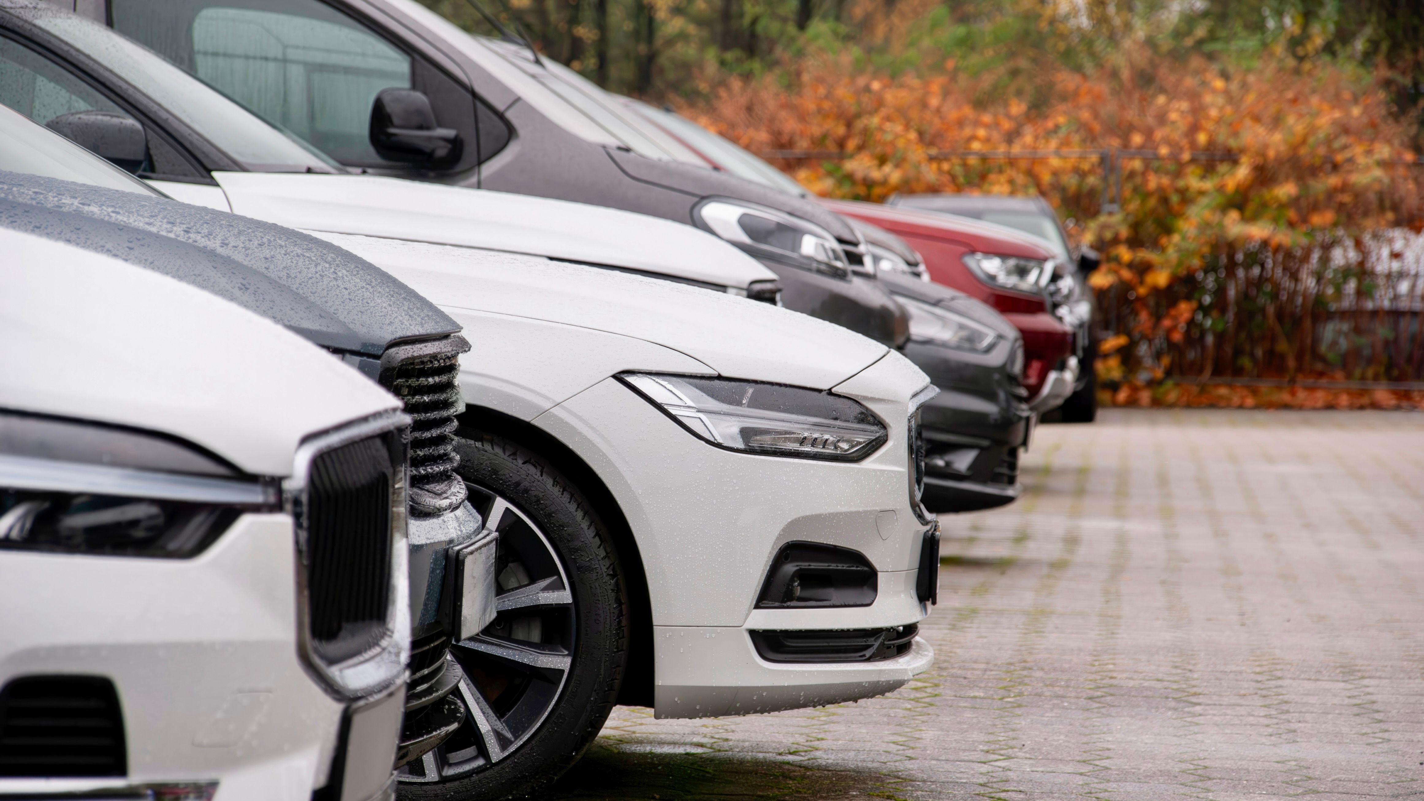 car dealership autumn