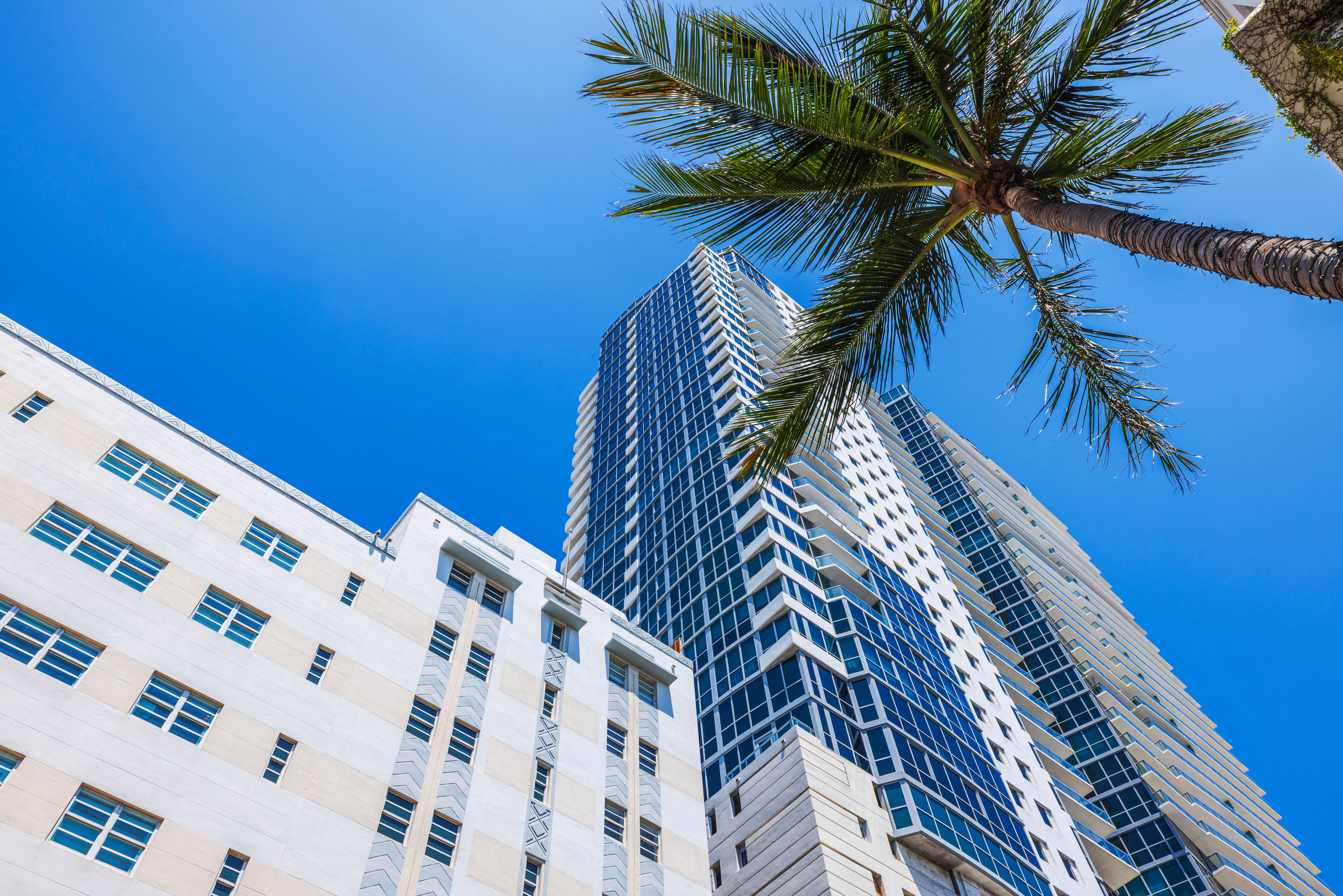 luxury condo Miami