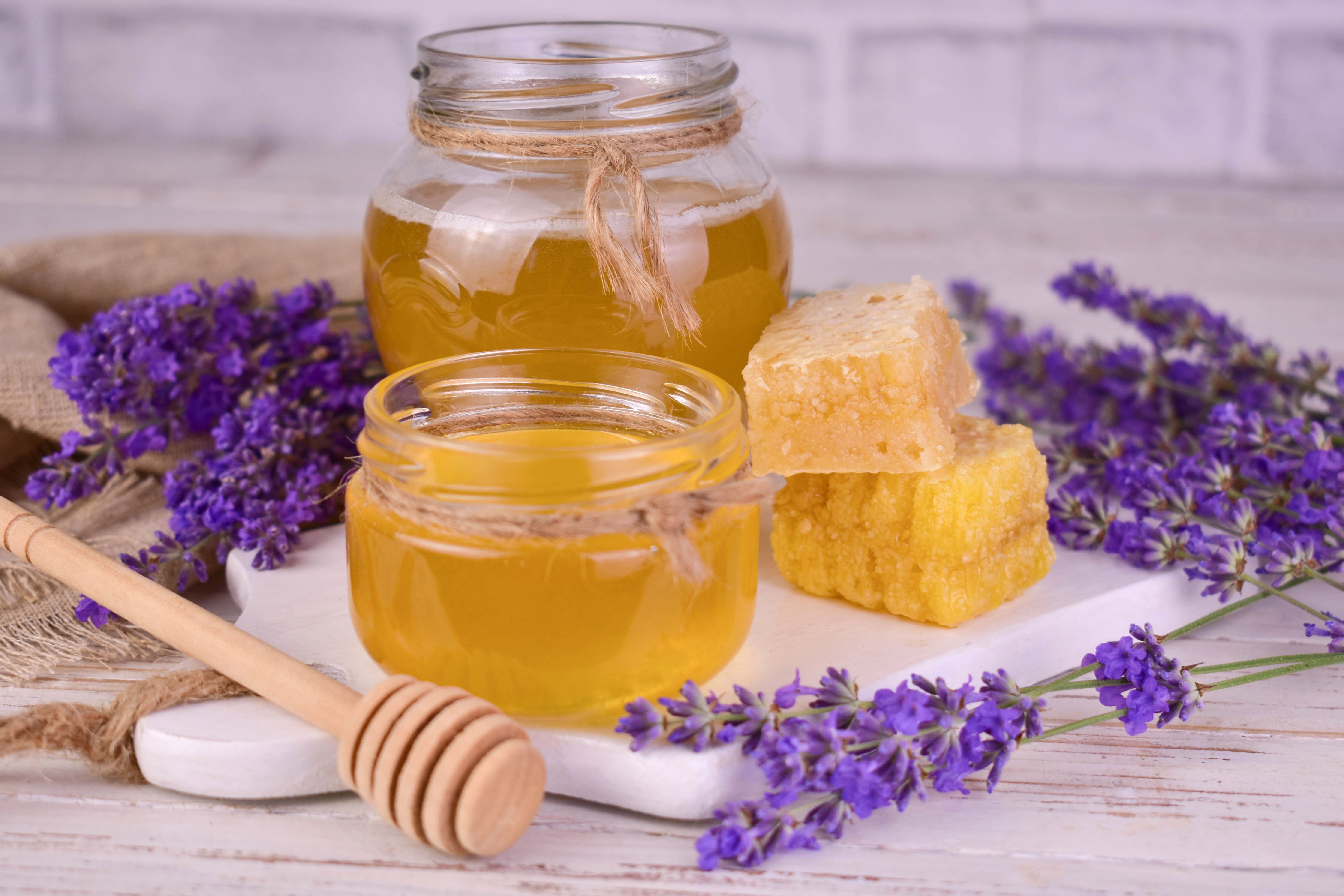 manuka lavender honey