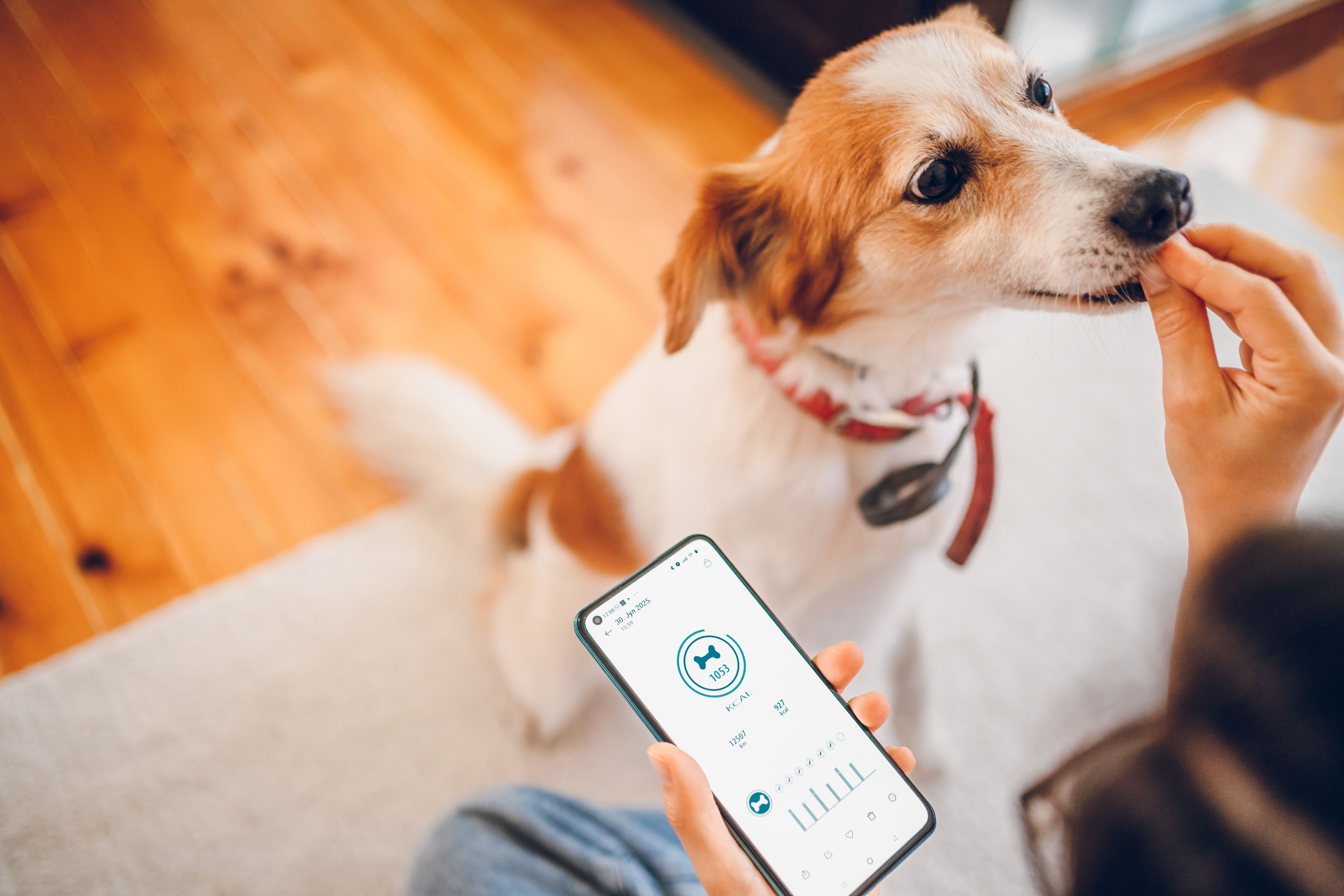 dog tech gadgets
