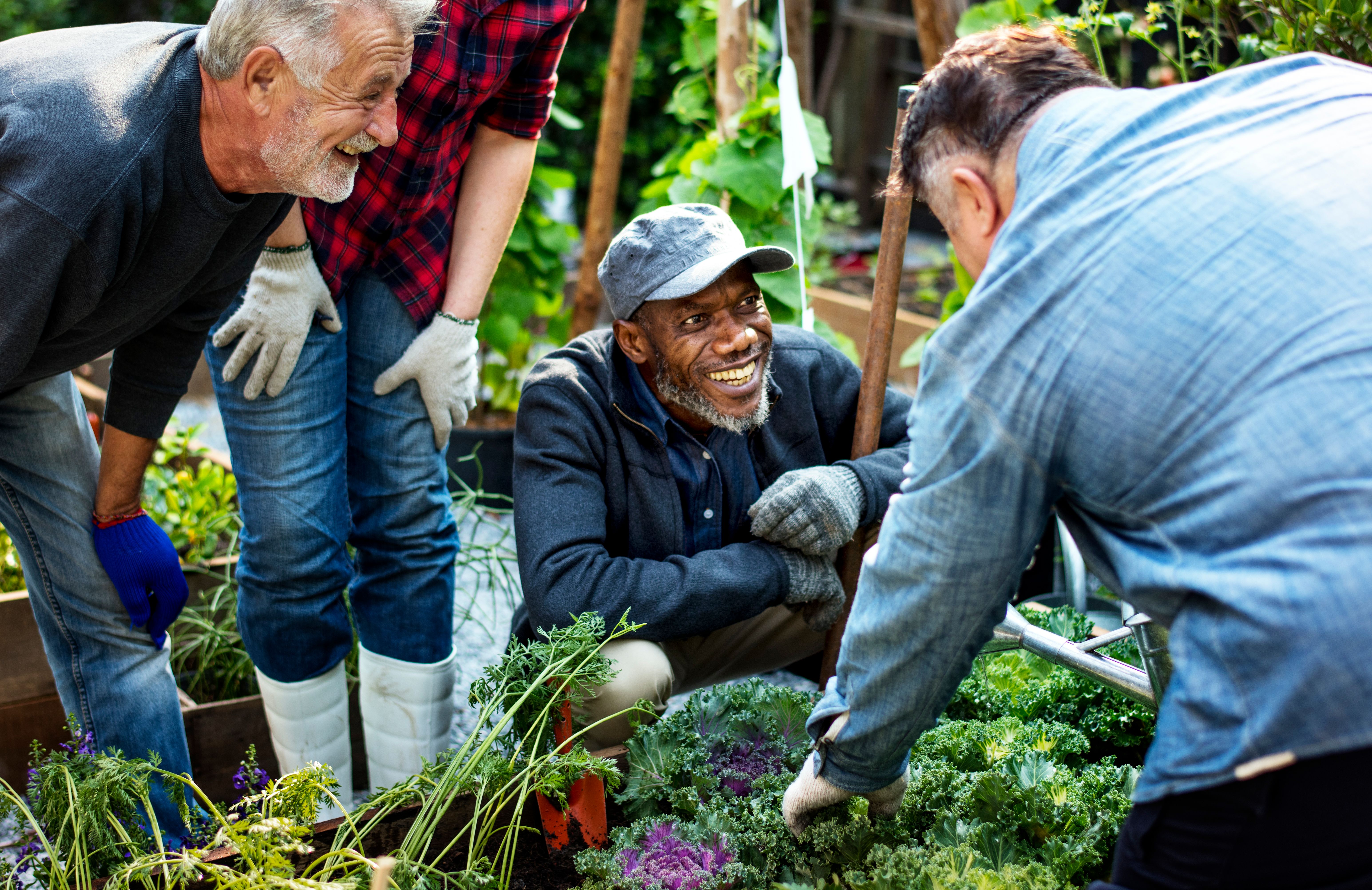 greenhouse workers