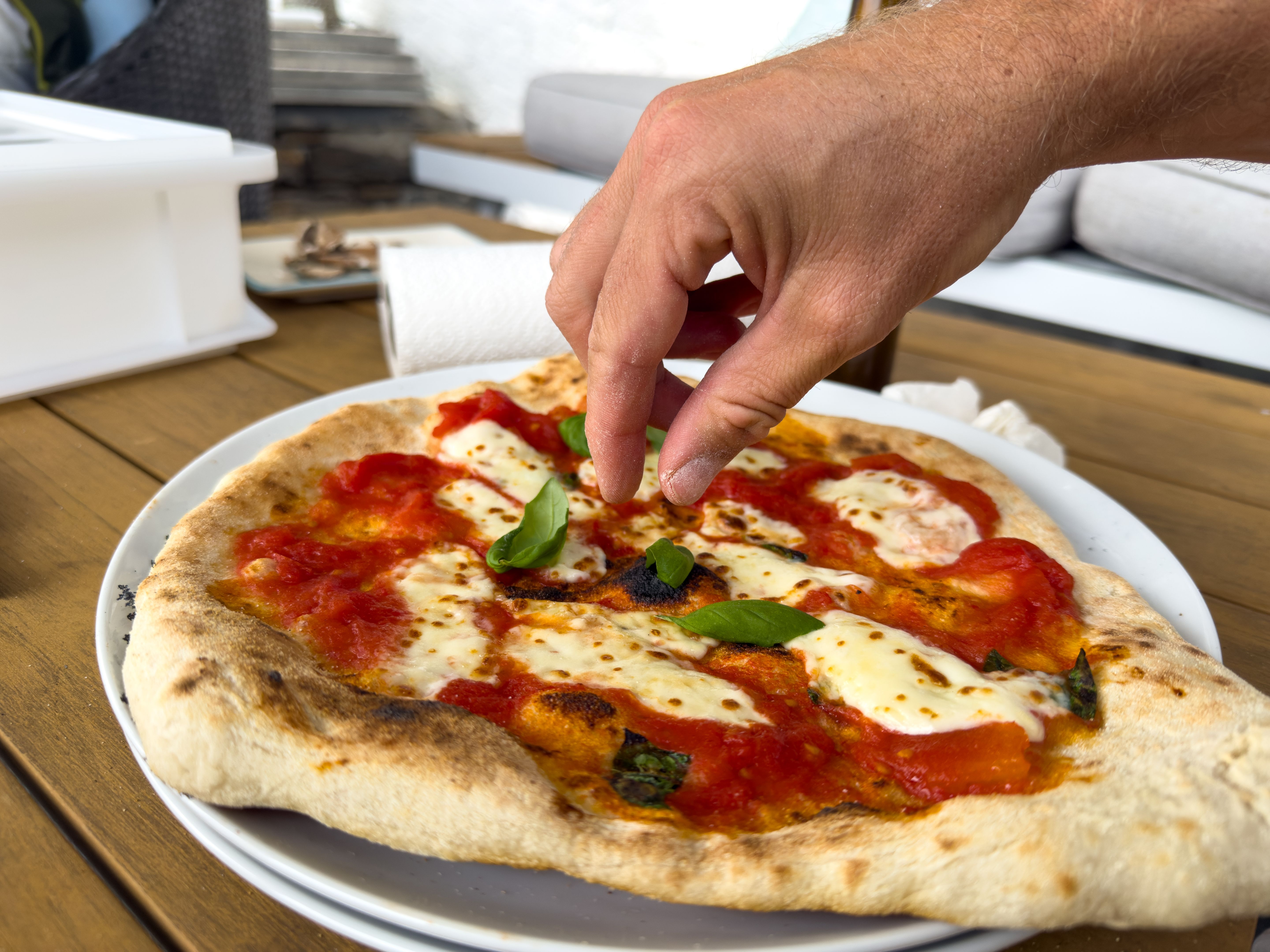 outdoor pizza oven