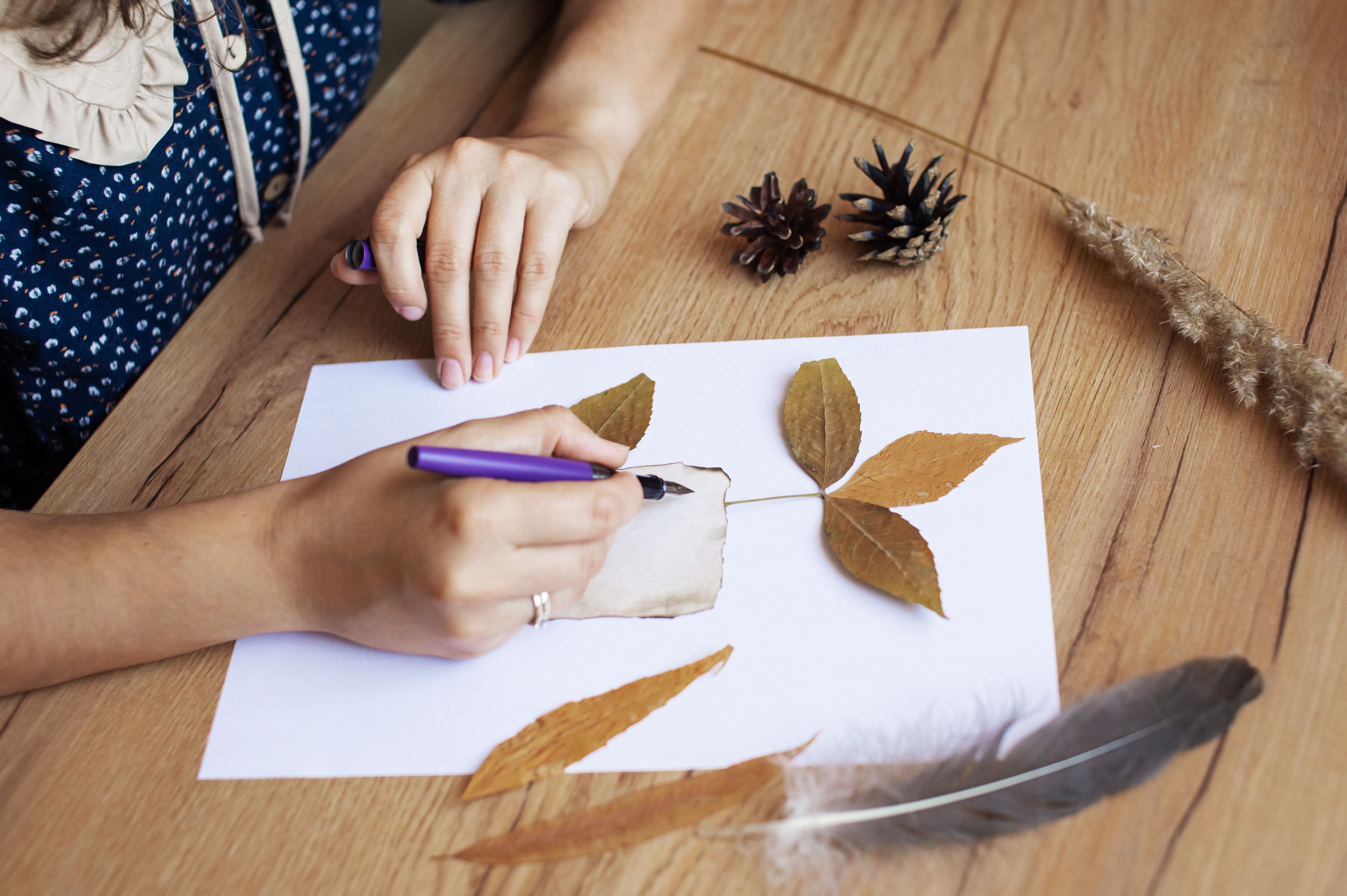 autumn home maintenance