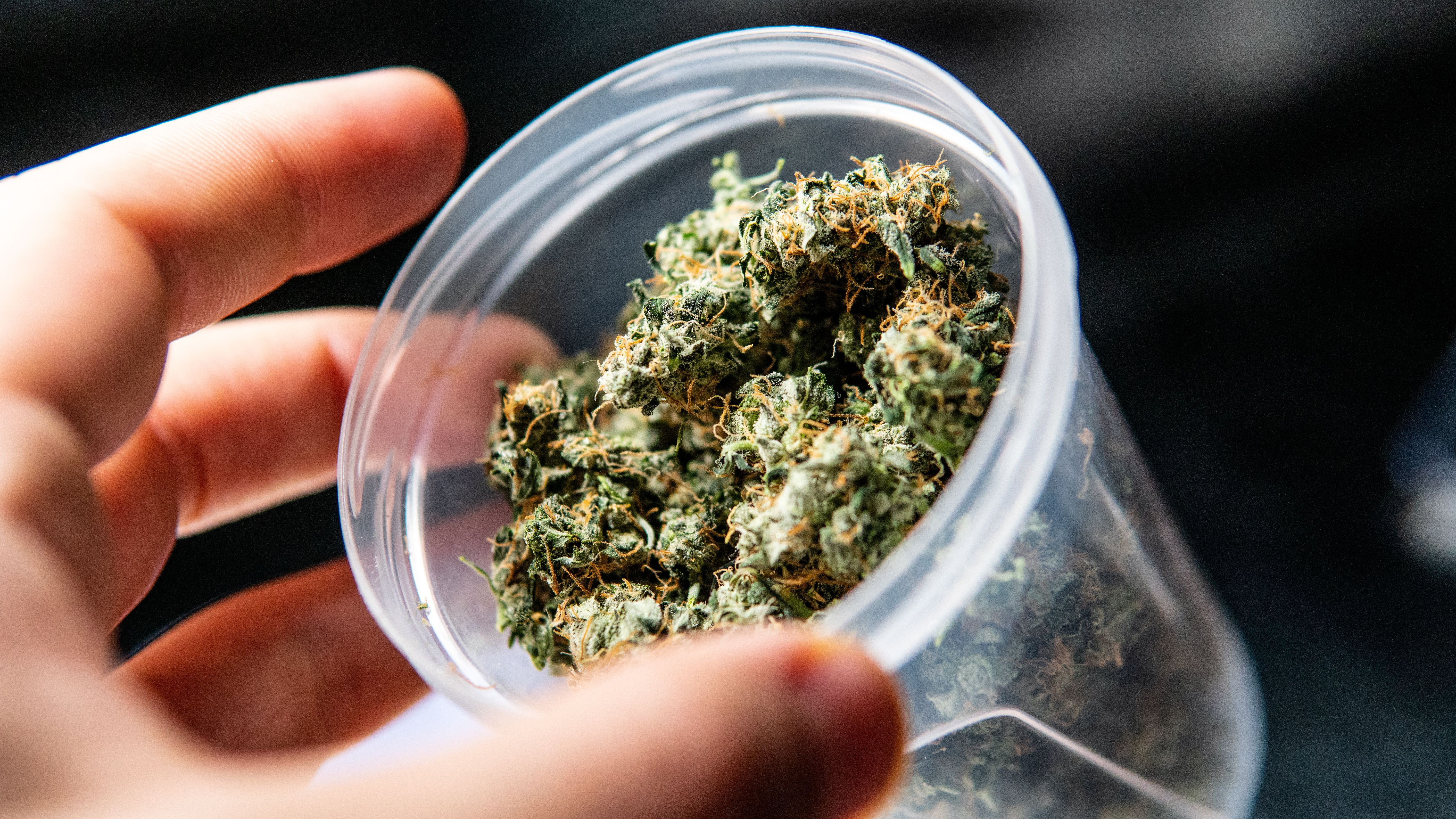 endocannabinoid system