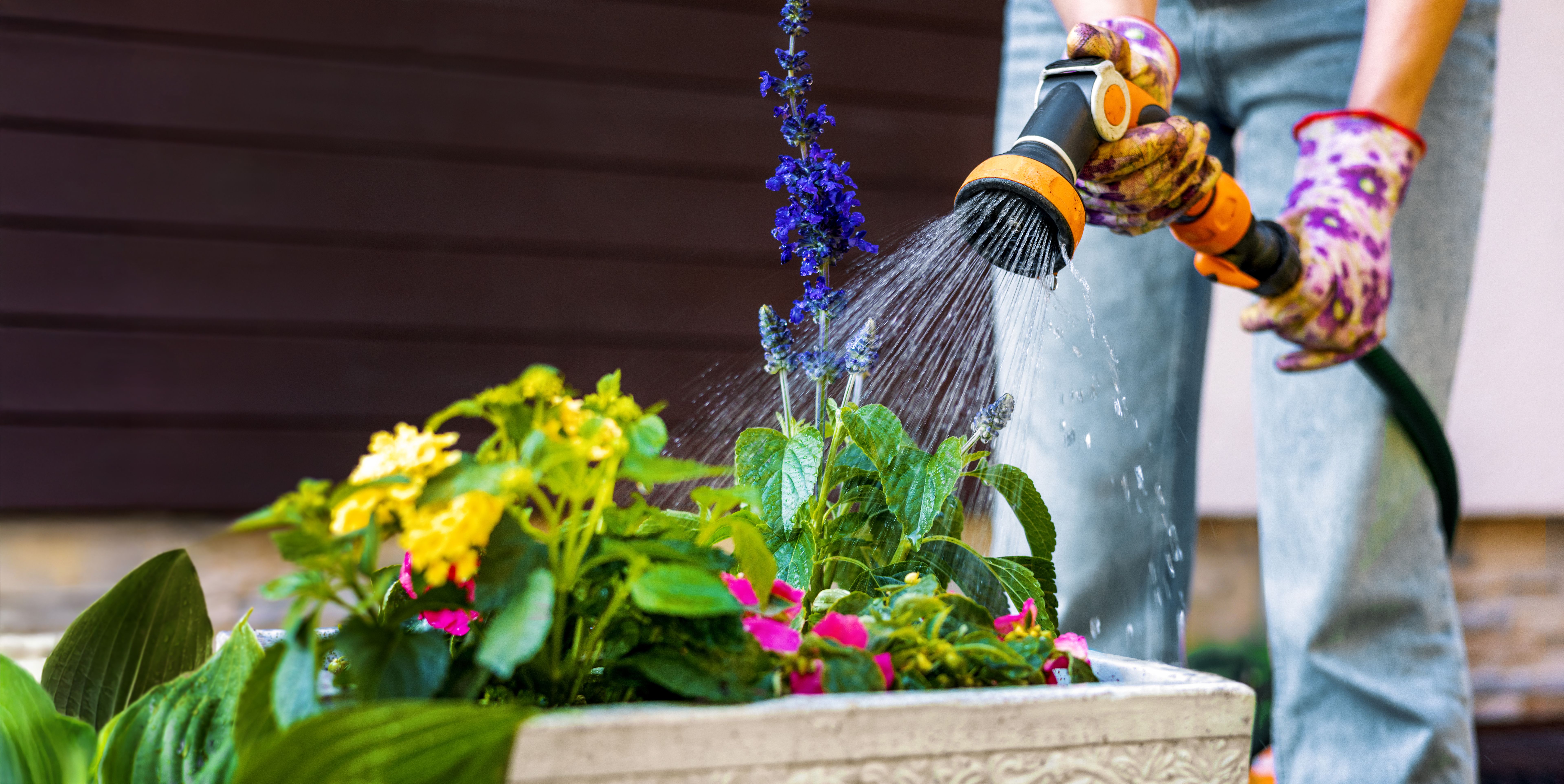 summer garden maintenance
