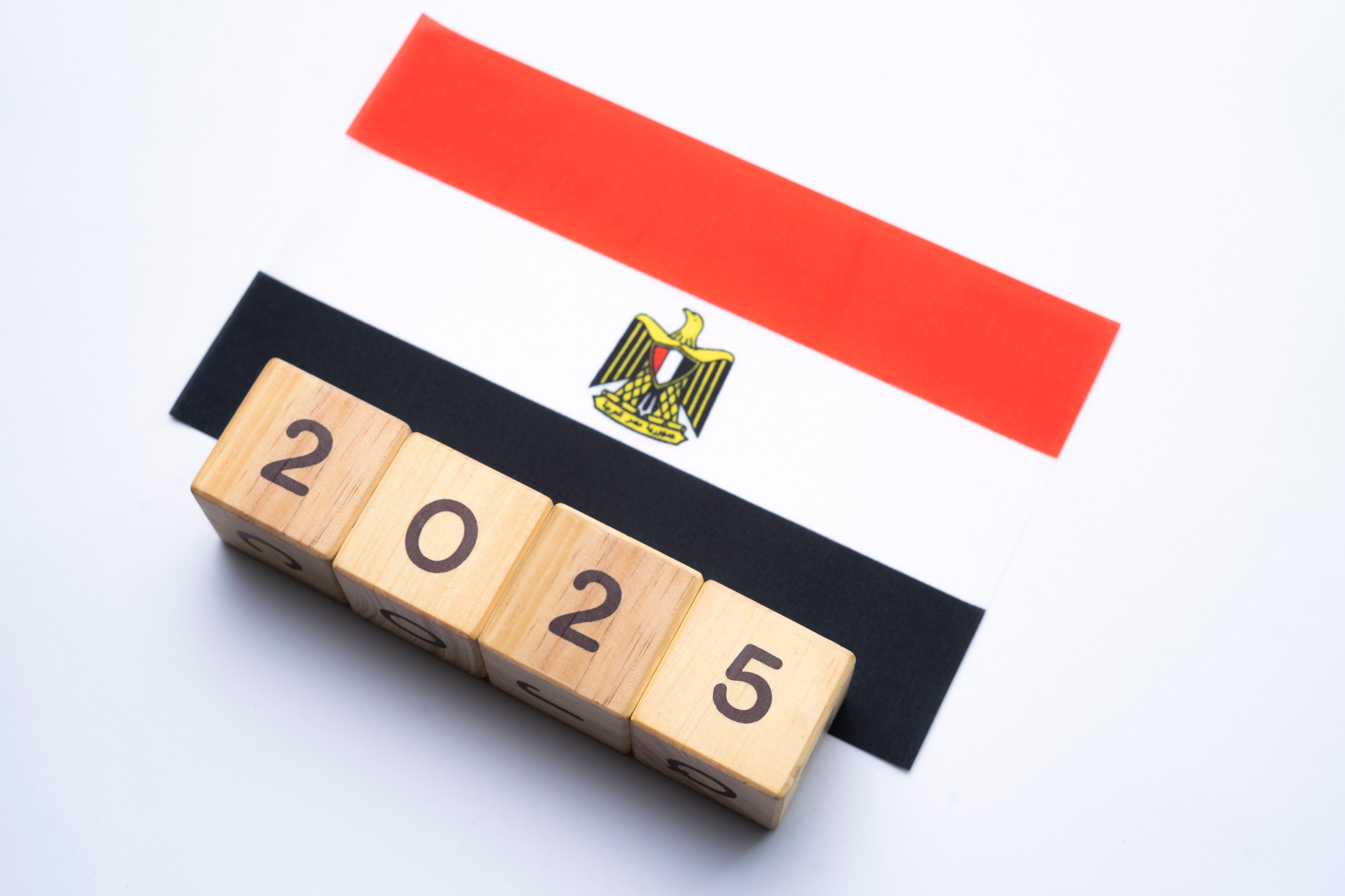 successful campaigns