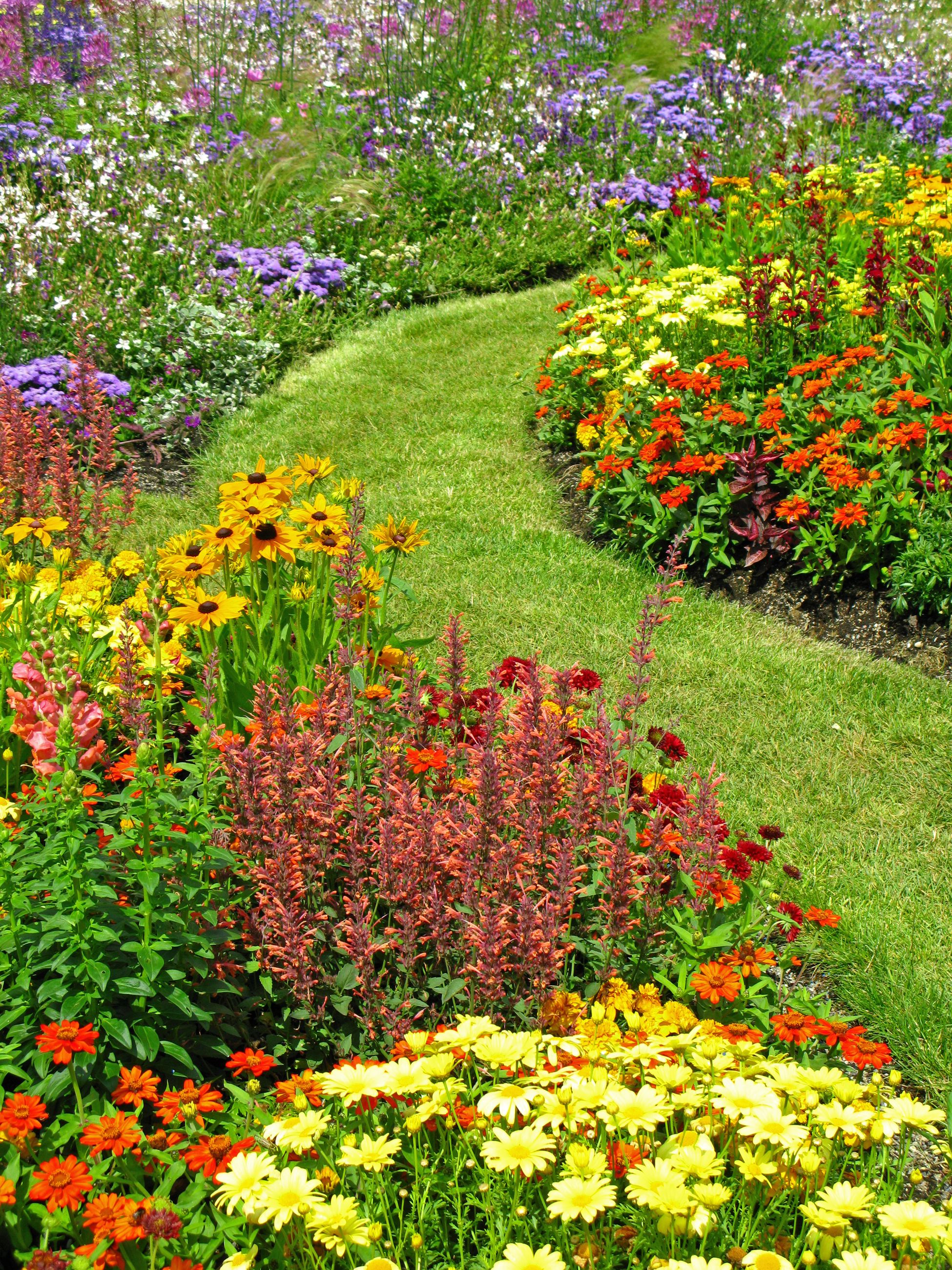 colorful garden