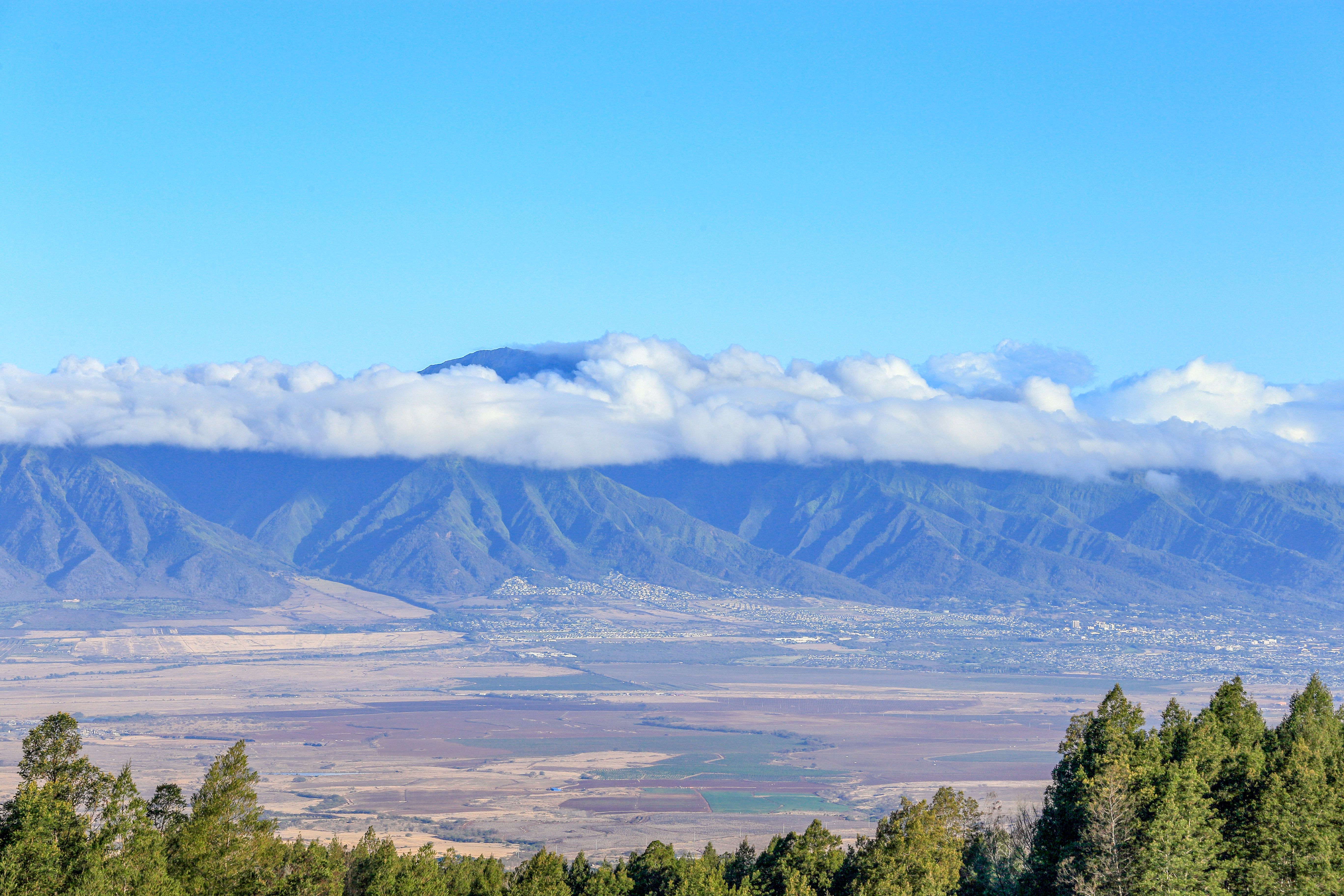 maui customer service