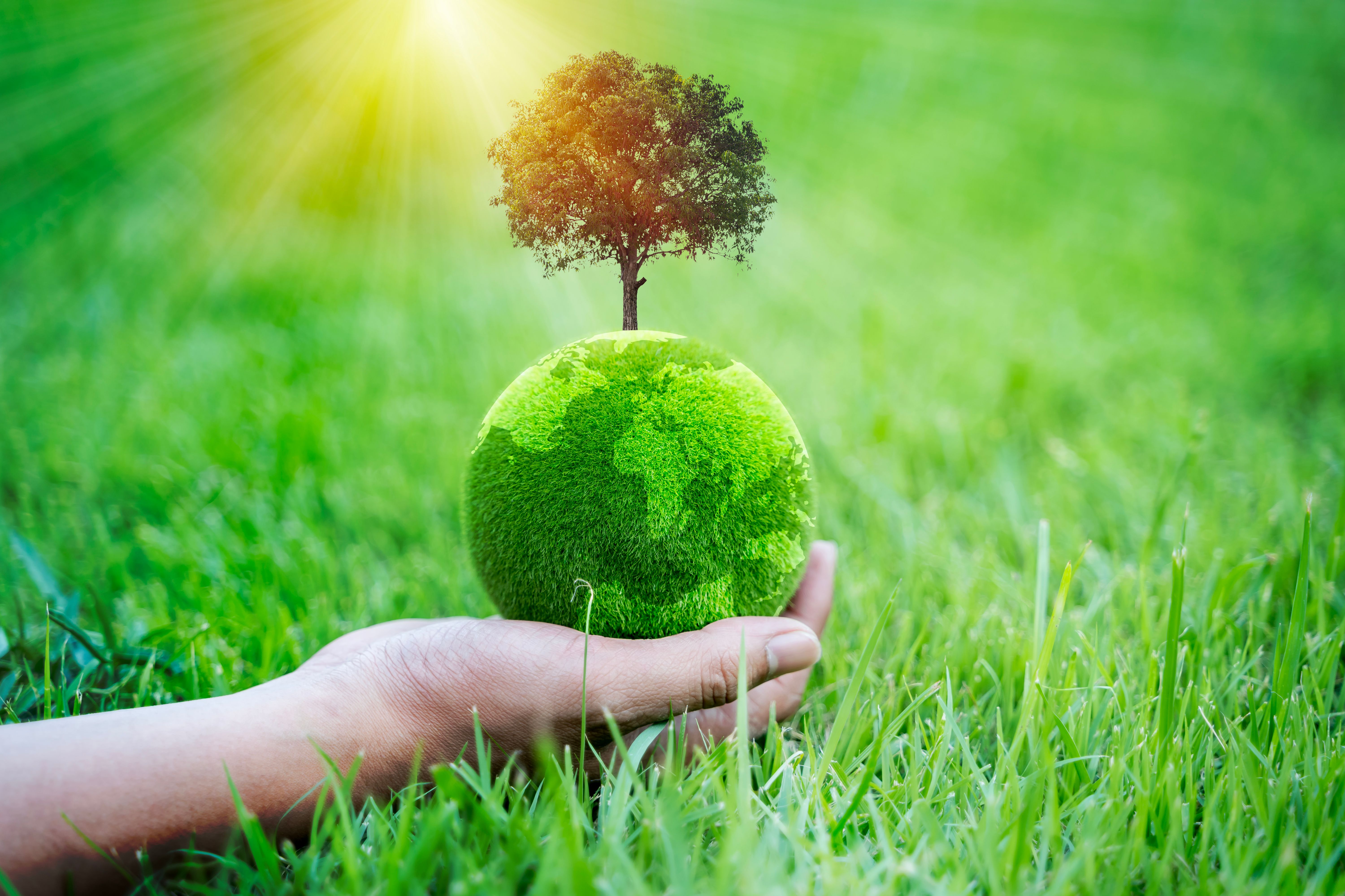 A hand holds a green globe made of grass and soil, symbolizing environmental sustainability and the planet's care.