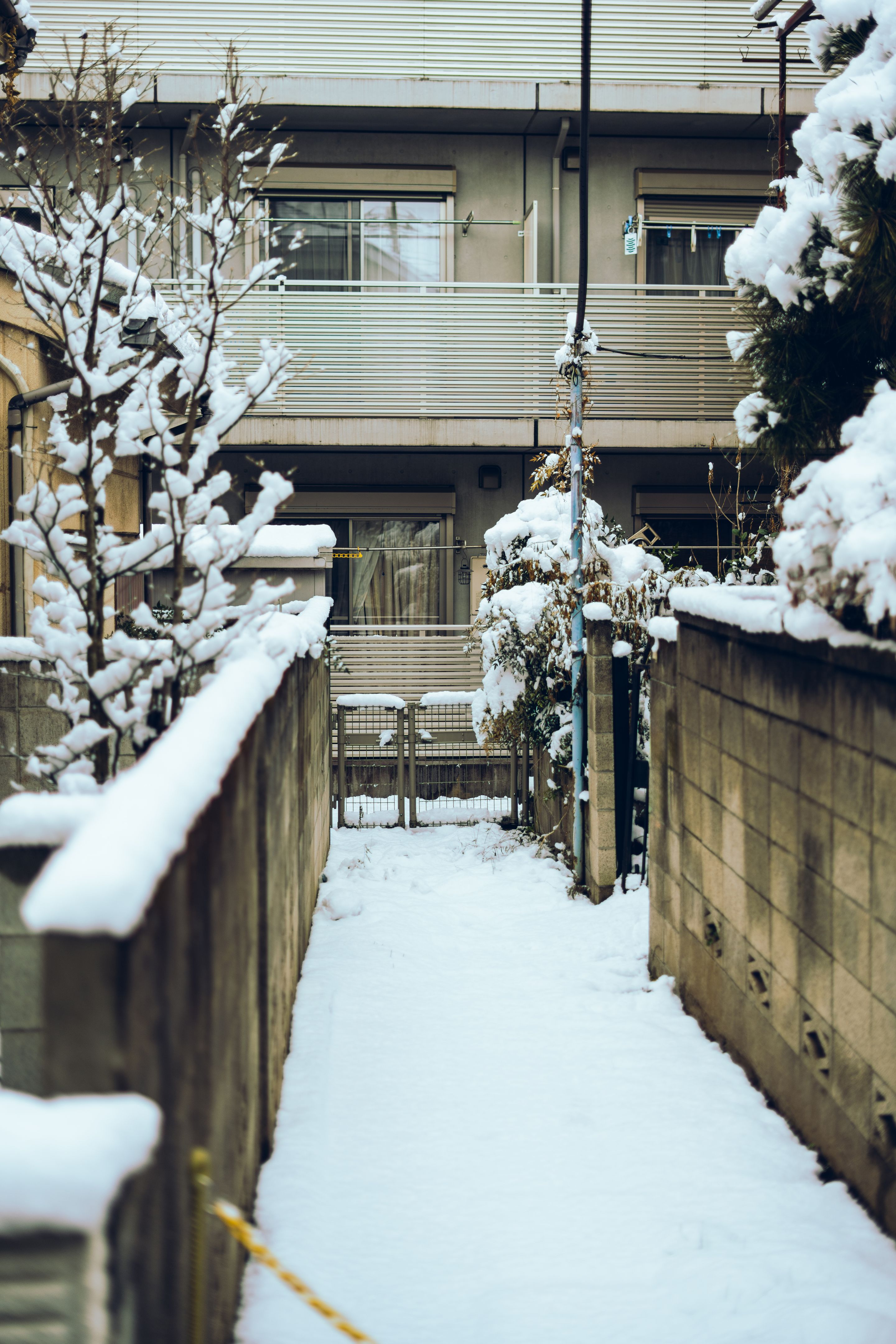 snowy road japan