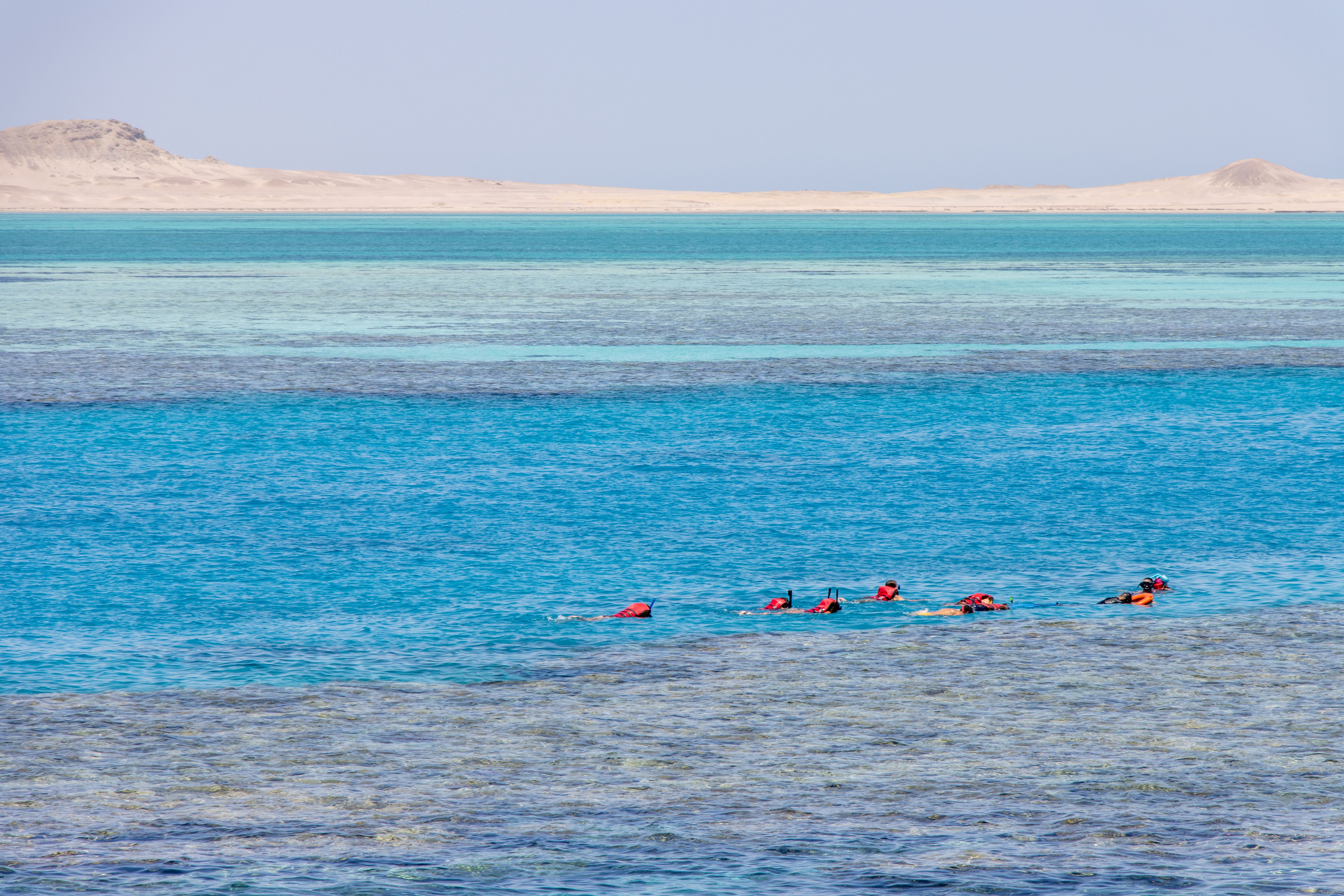 marsa alam diving