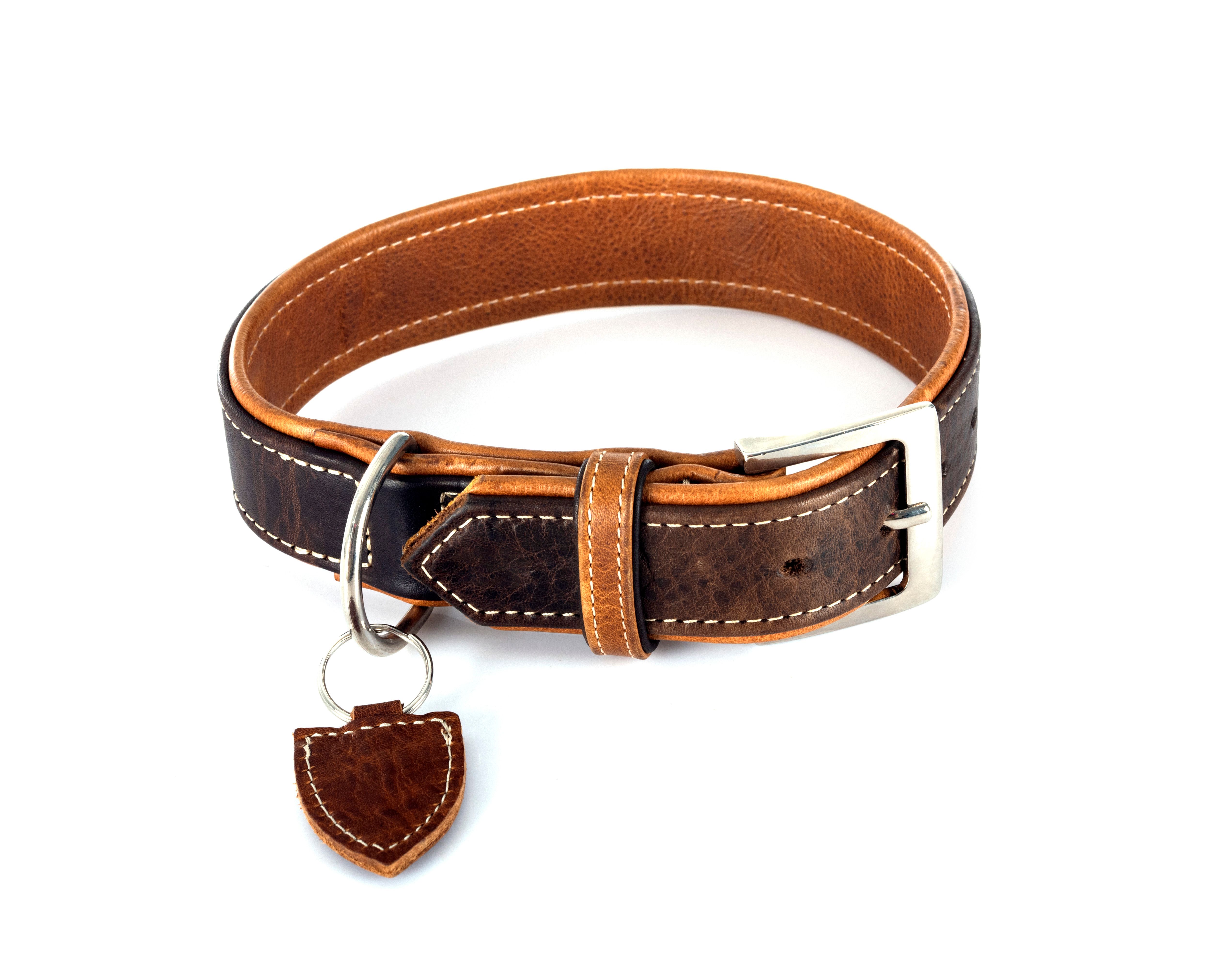 dog leather collar
