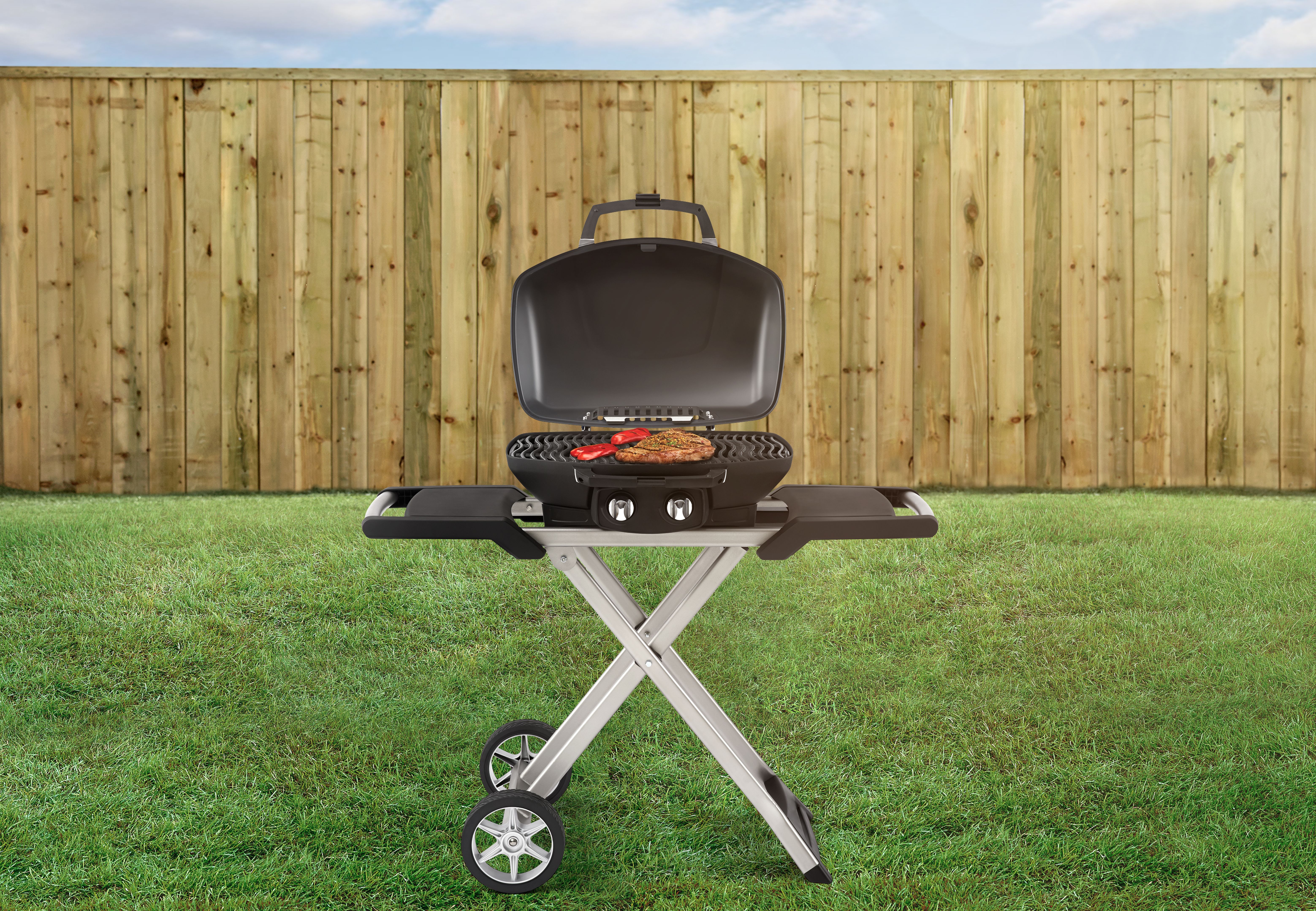 portable grill