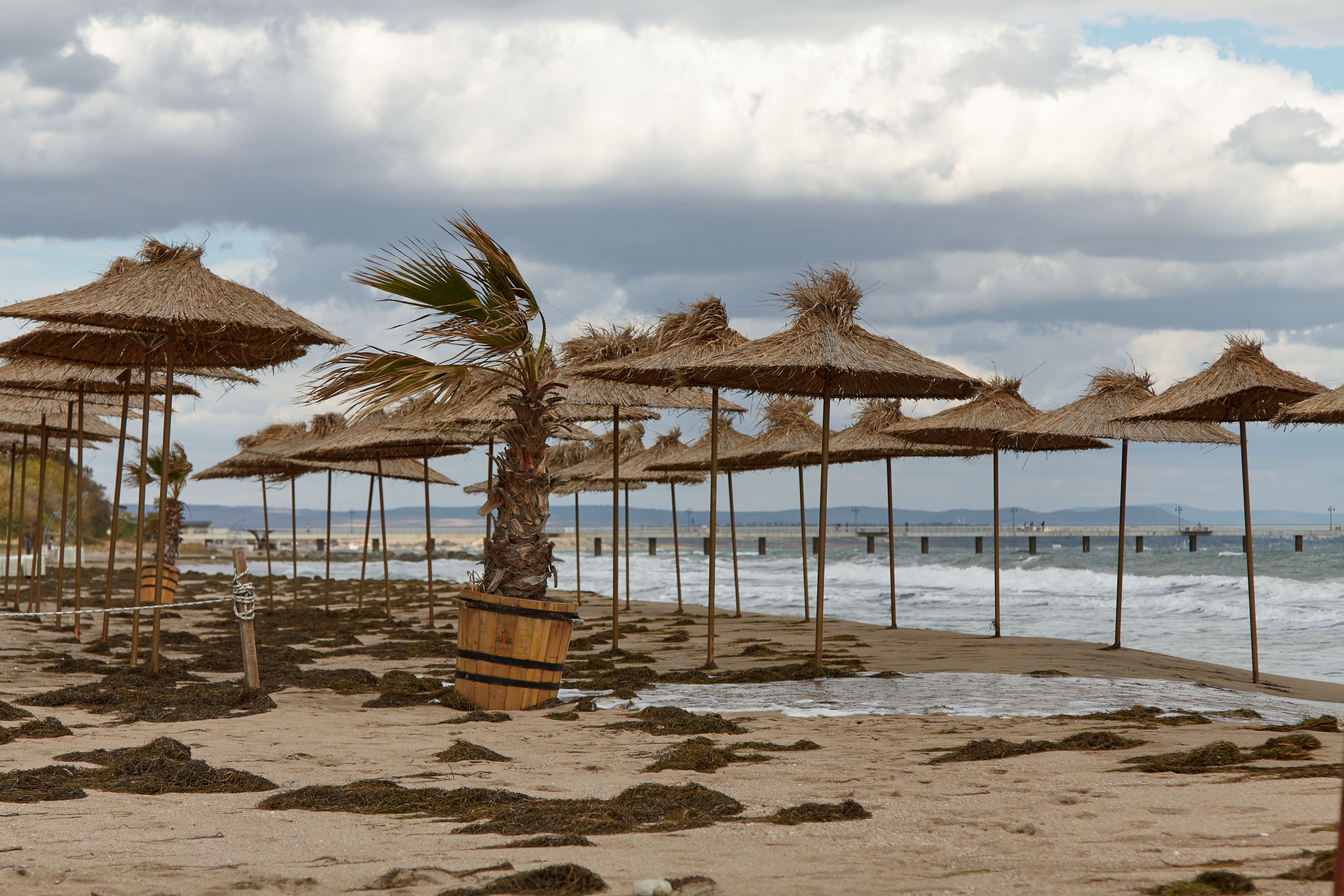 weather forecast beach