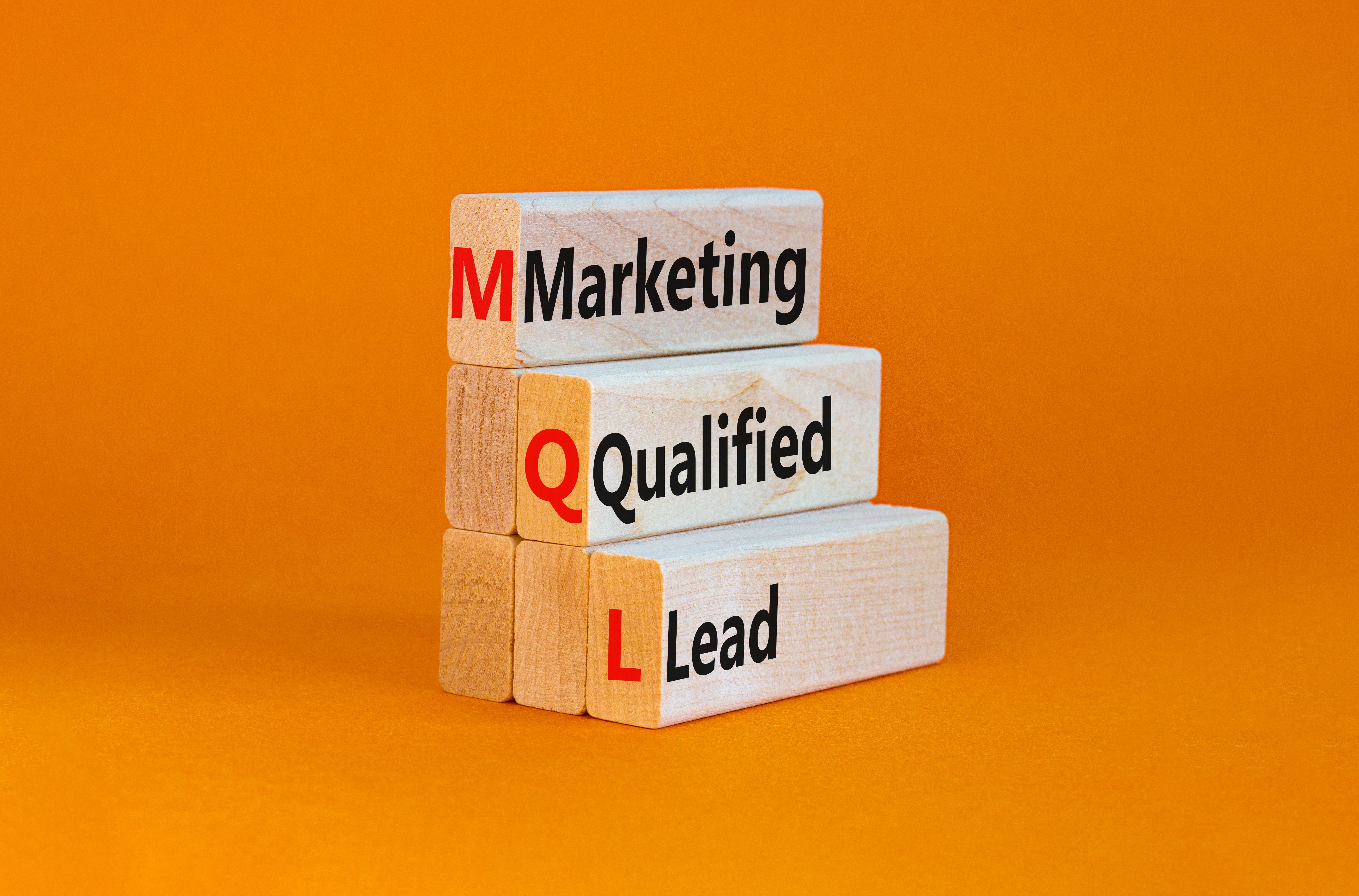 lead qualification