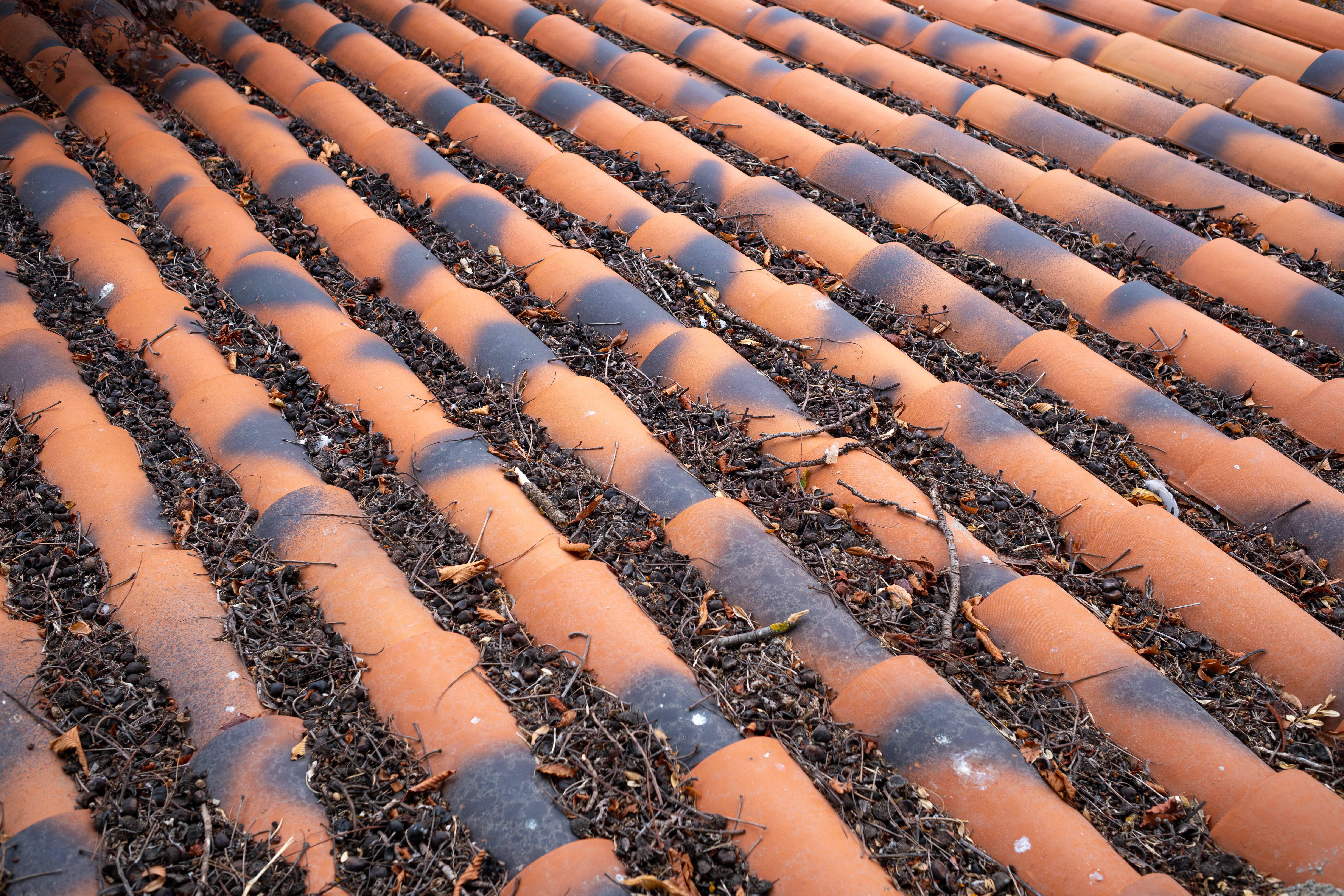 clay tiles